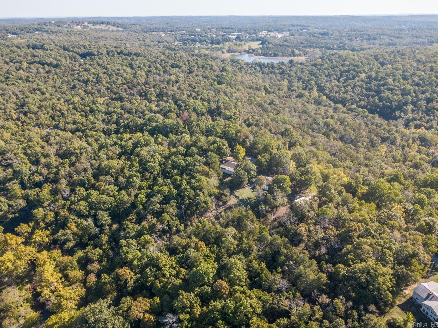 1319 Riverview Dr  Horseshoe Bend, AR