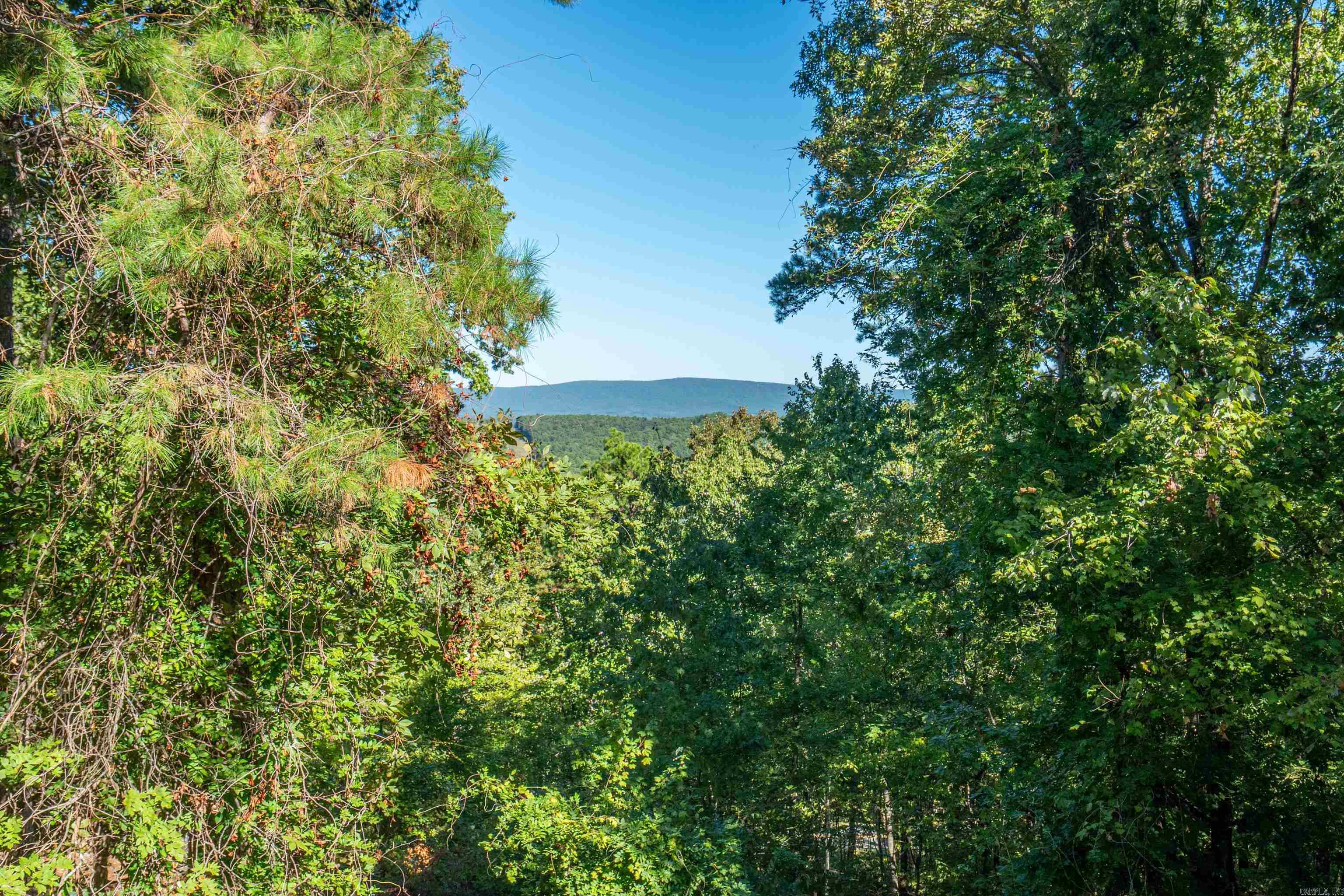 26 Berlanga Circle Hot Springs Village, AR 71909-4434