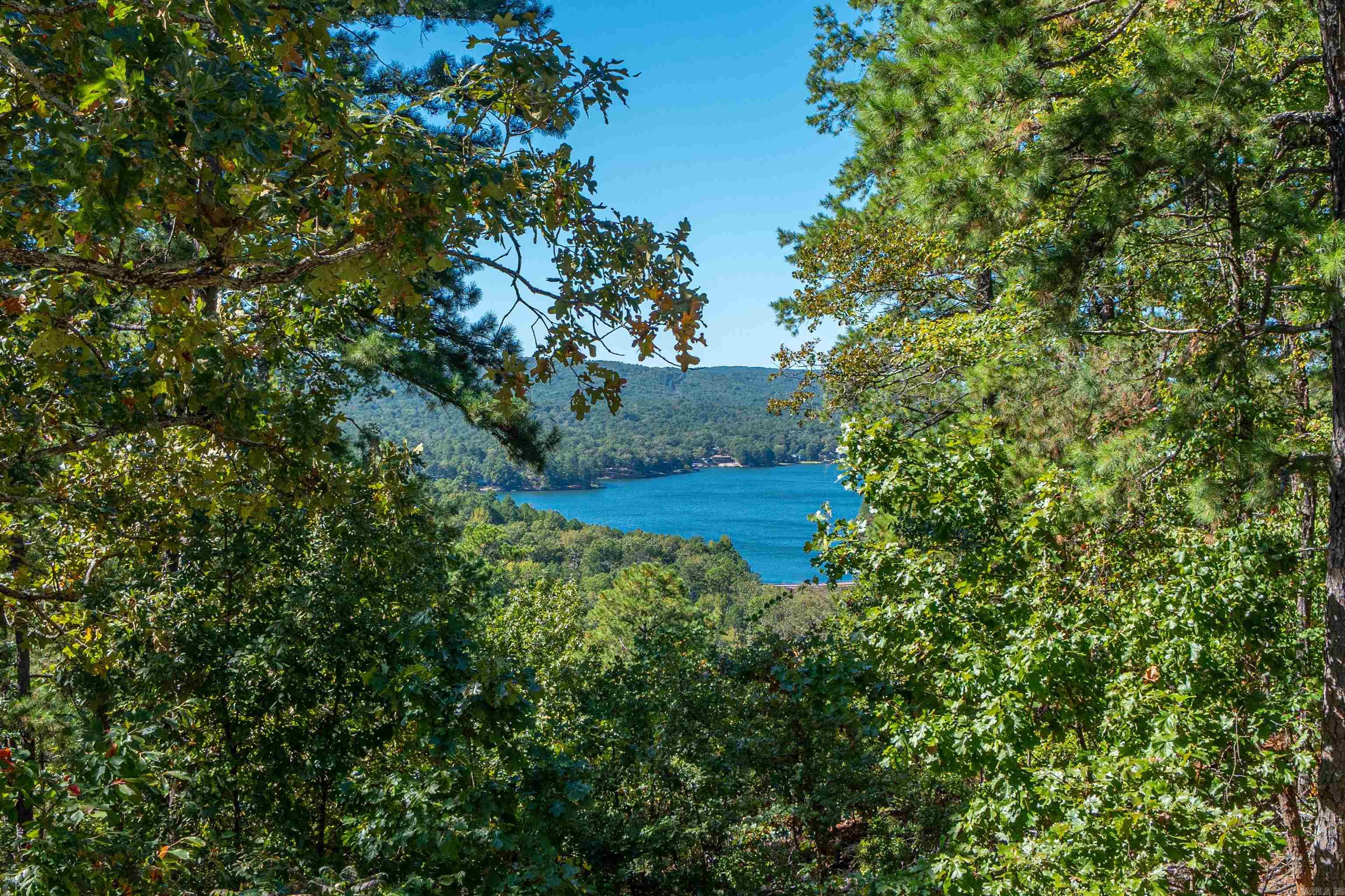 5 Andar Lane Hot Springs Village, AR 71909