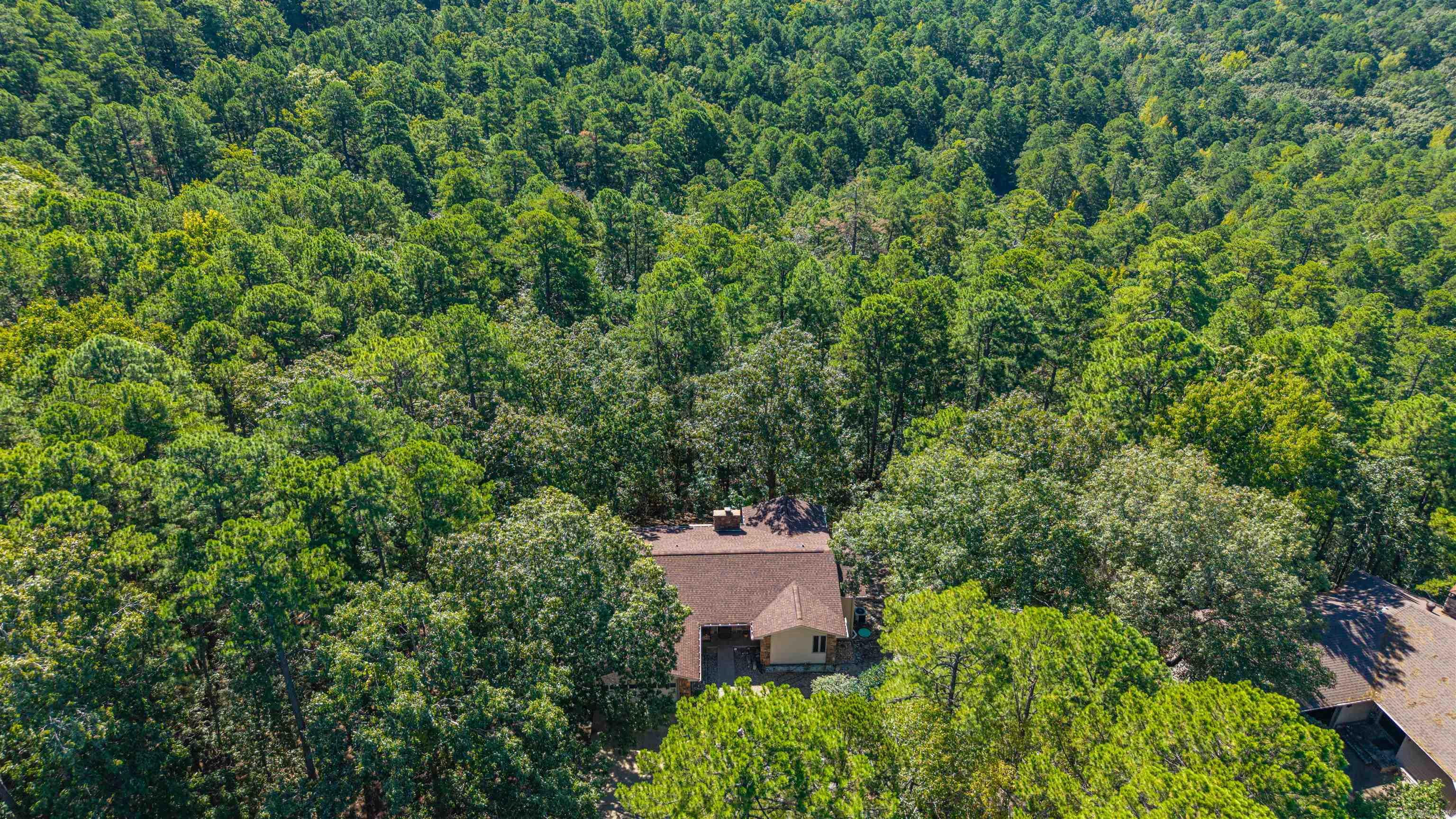 5 Andar Lane Hot Springs Village, AR 71909