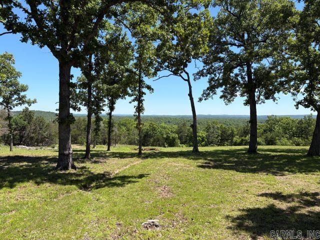 823 MC 164 Cedar Creek, AR 65761
