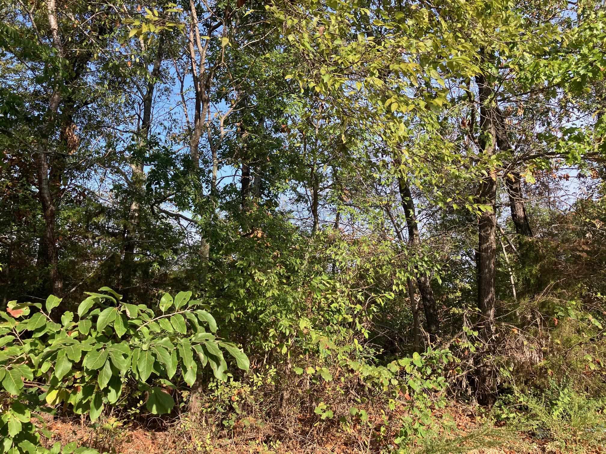 Tbd Tucker Road