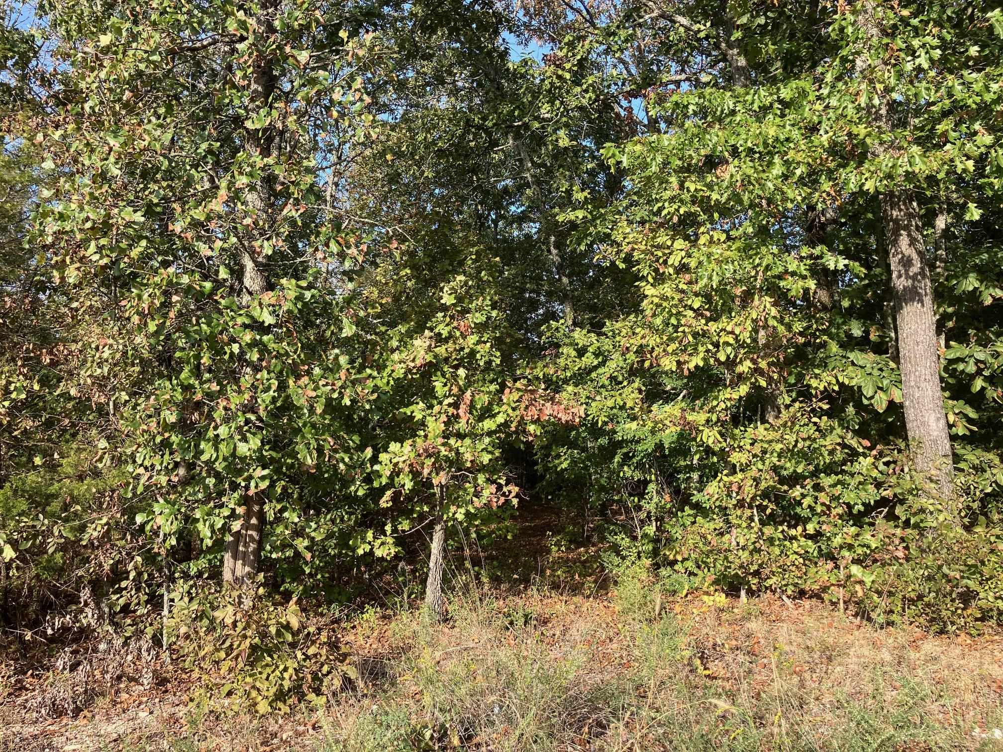 Tbd Tucker Road