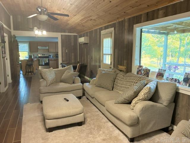 10000 HWY 263 Mountain View, AR 72560
