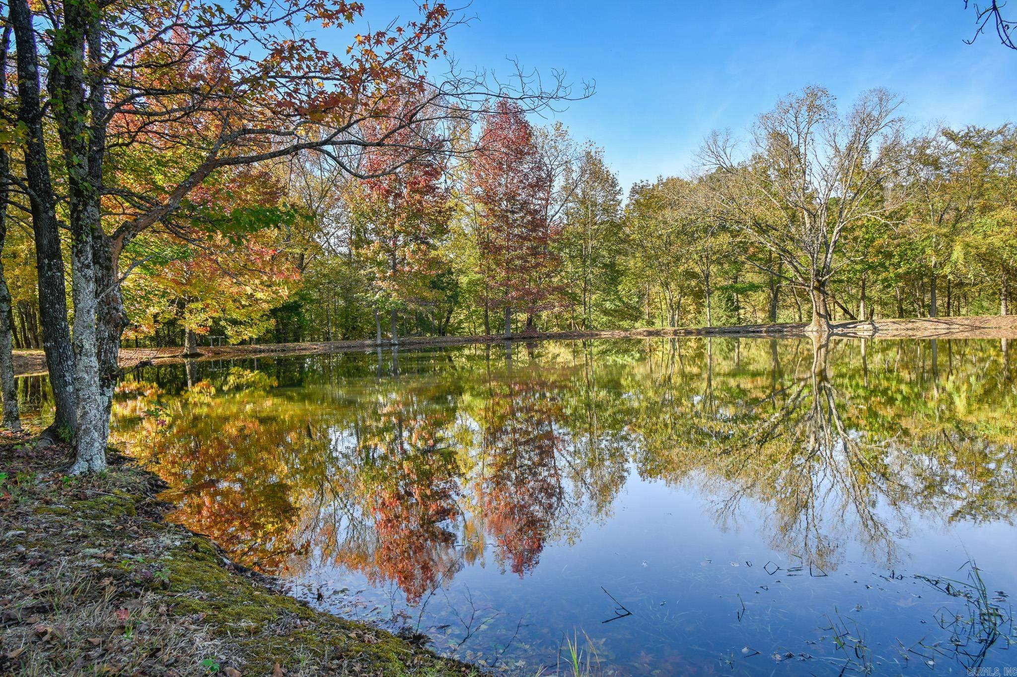115 Lark Ln Mena, AR 71953