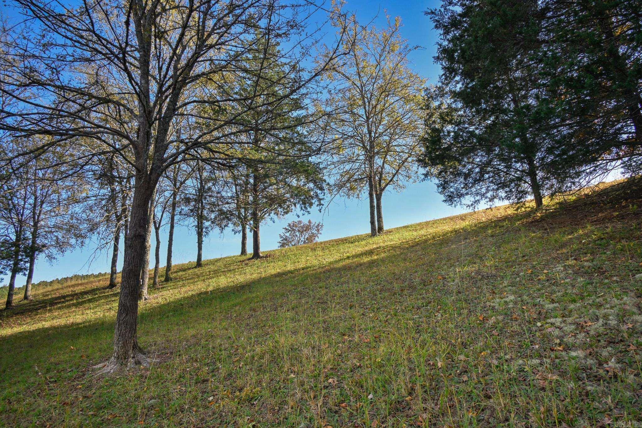 115 Lark Ln Mena, AR 71953
