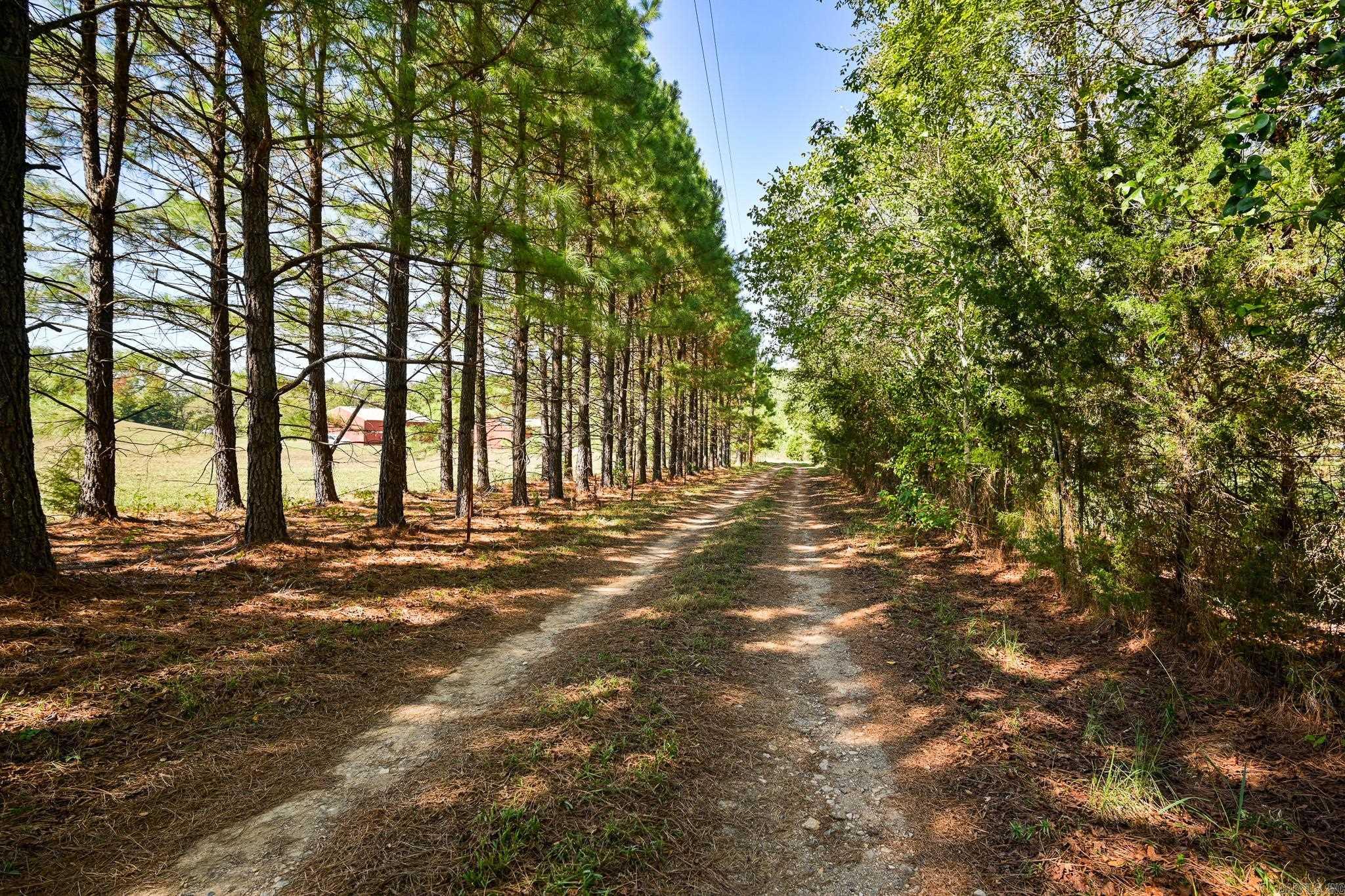 115 Lark Ln Mena, AR 71953
