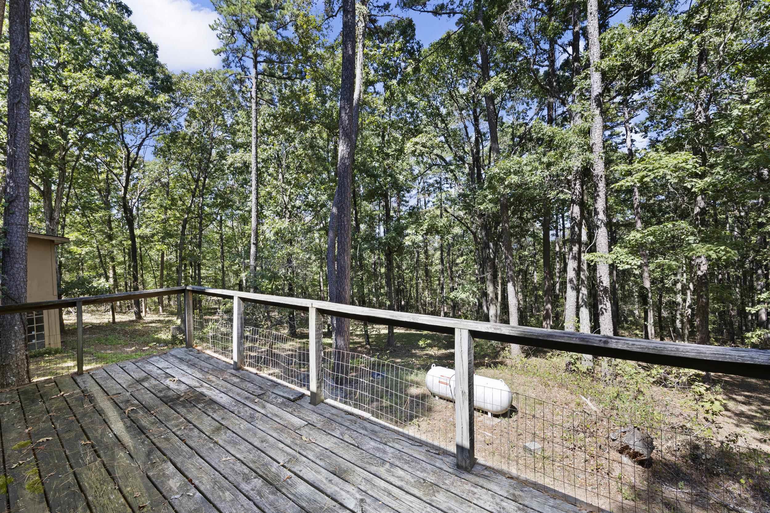 14 & 16 Lunsford Lane Bigelow, AR 72016