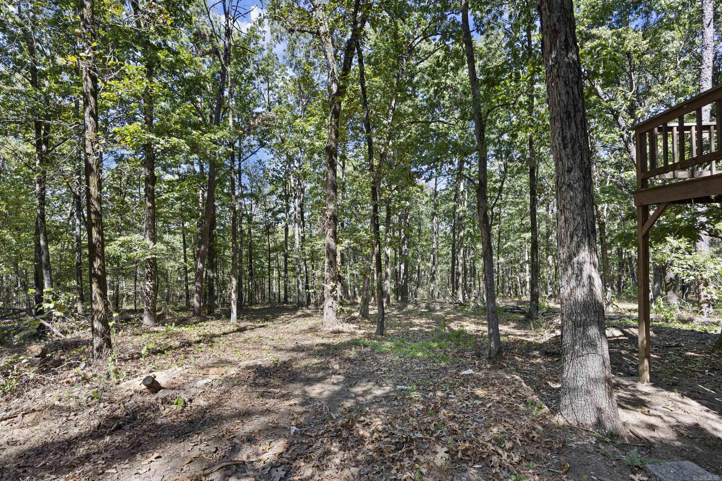 14 & 16 Lunsford Lane Bigelow, AR 72016