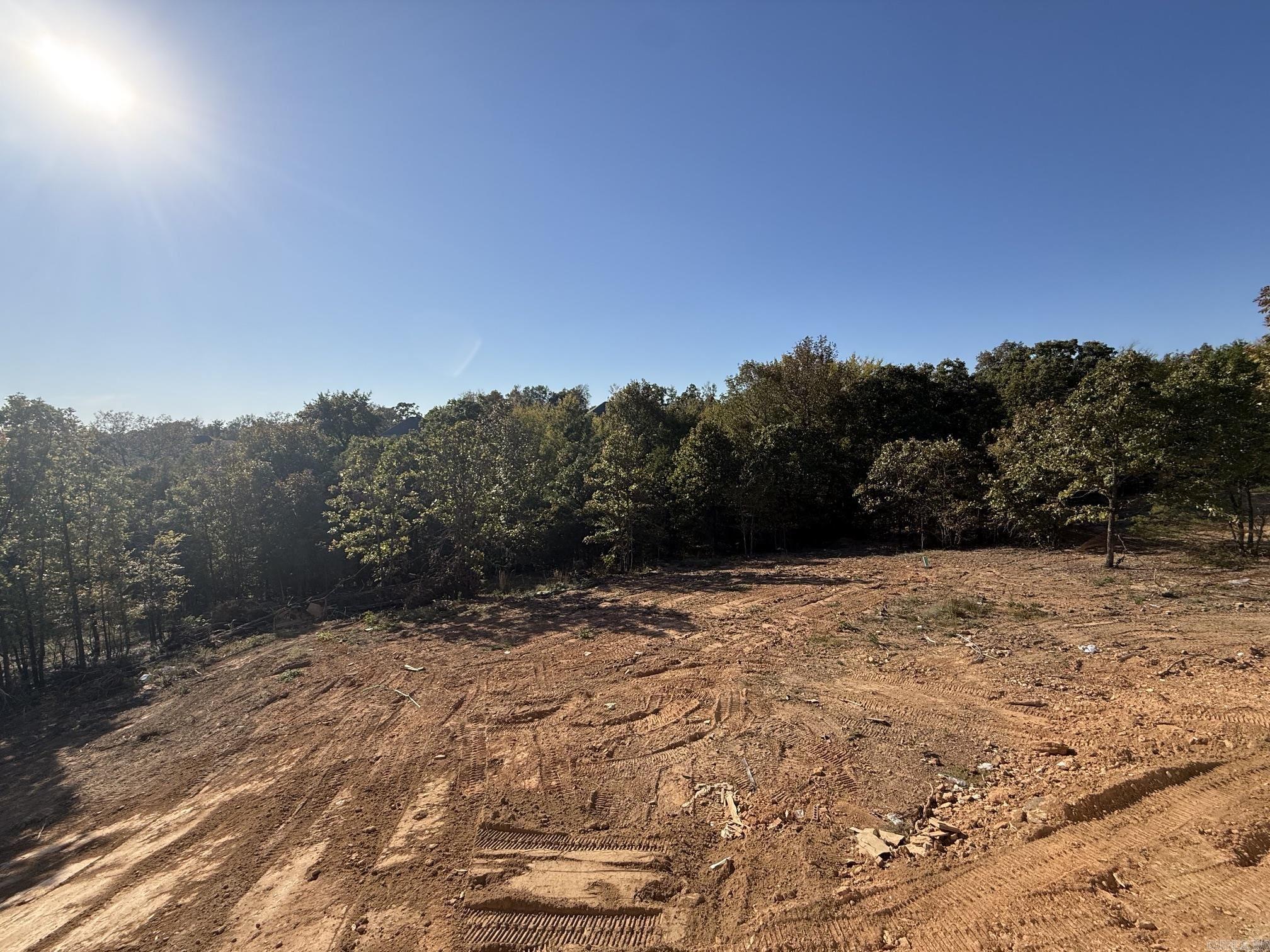 14 Summer Tyme Drive Greenbrier, AR 72058