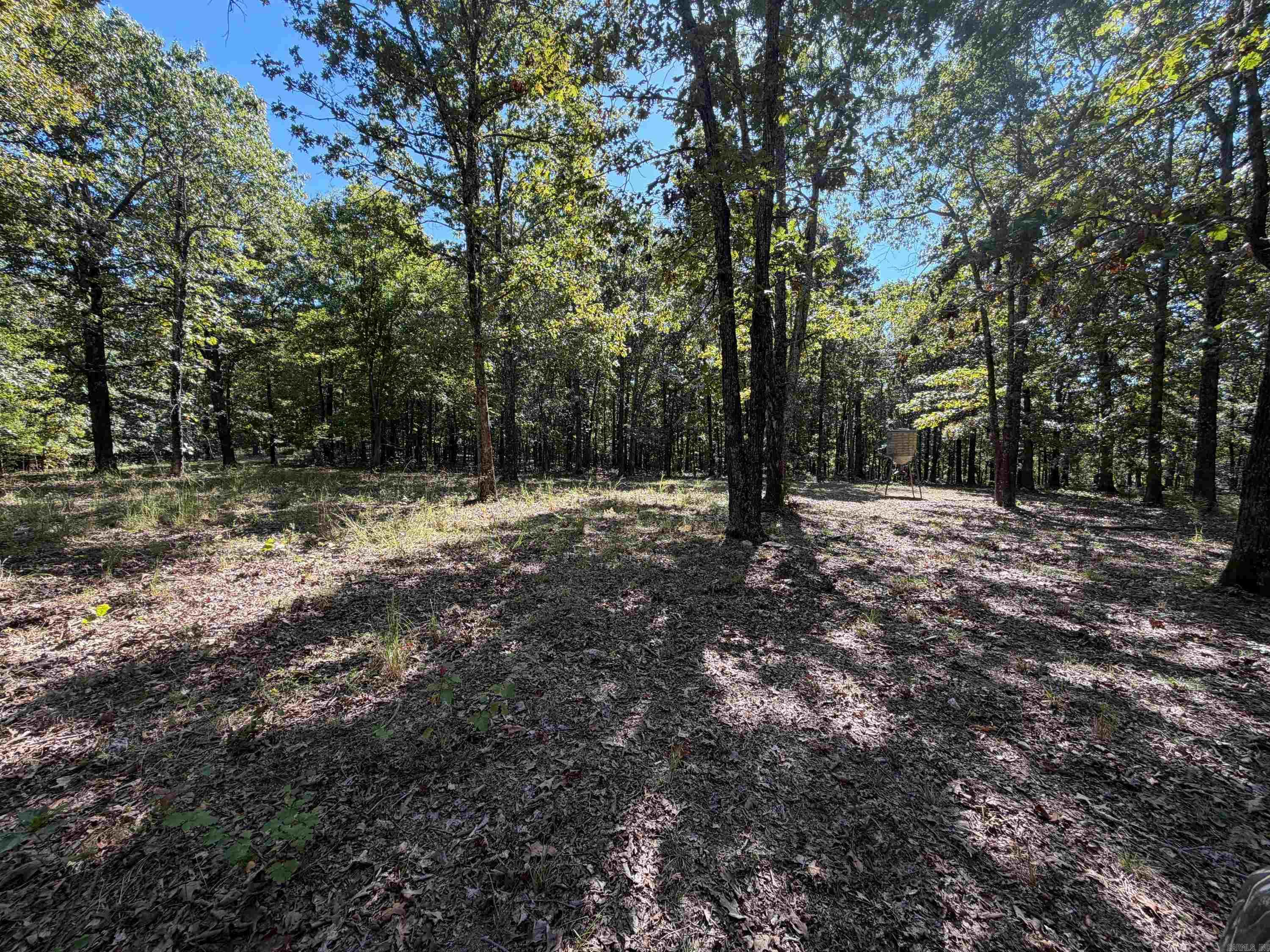 222 W CC Rd Hardy, AR 72542