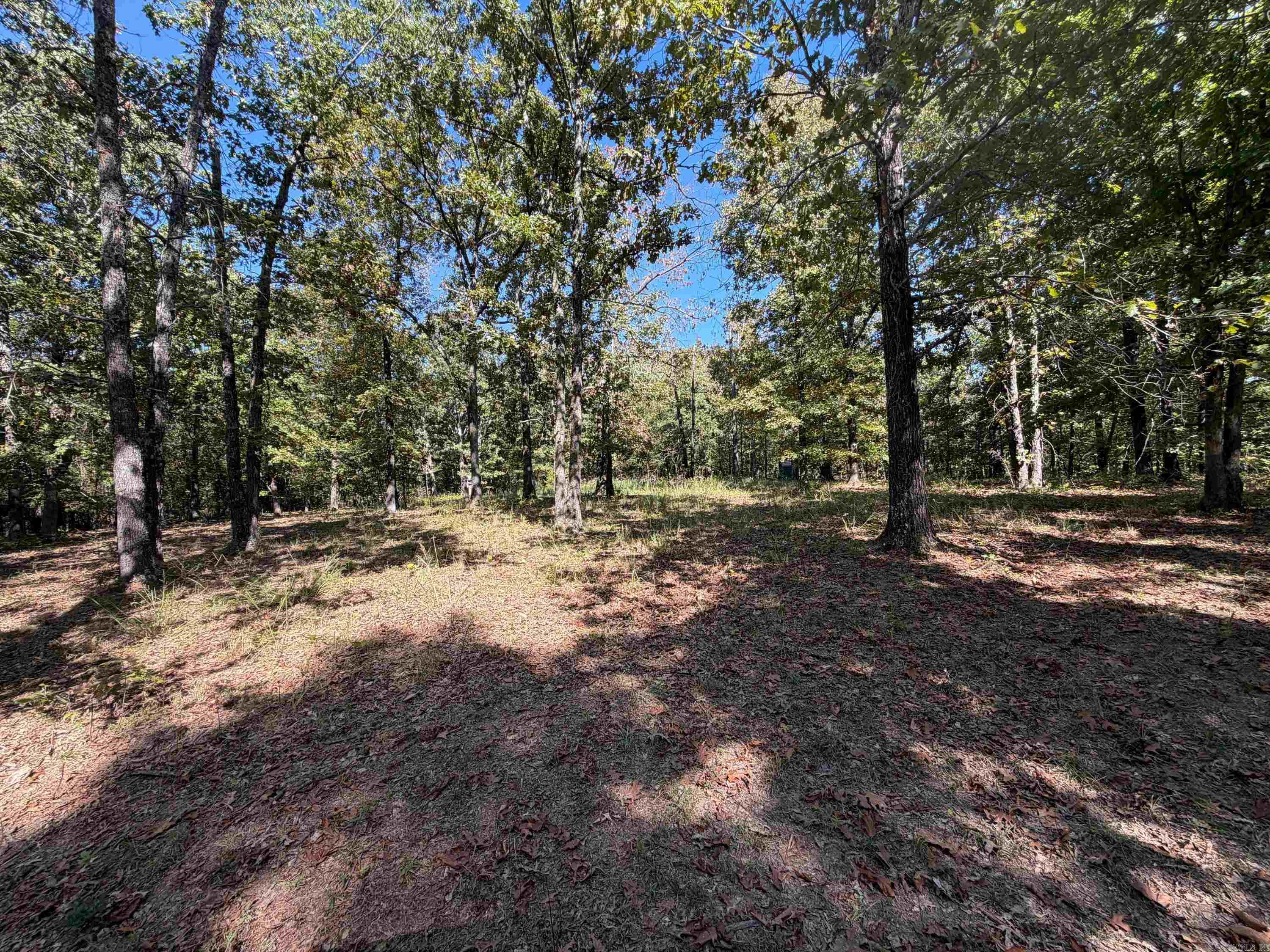 222 W CC Rd Hardy, AR 72542