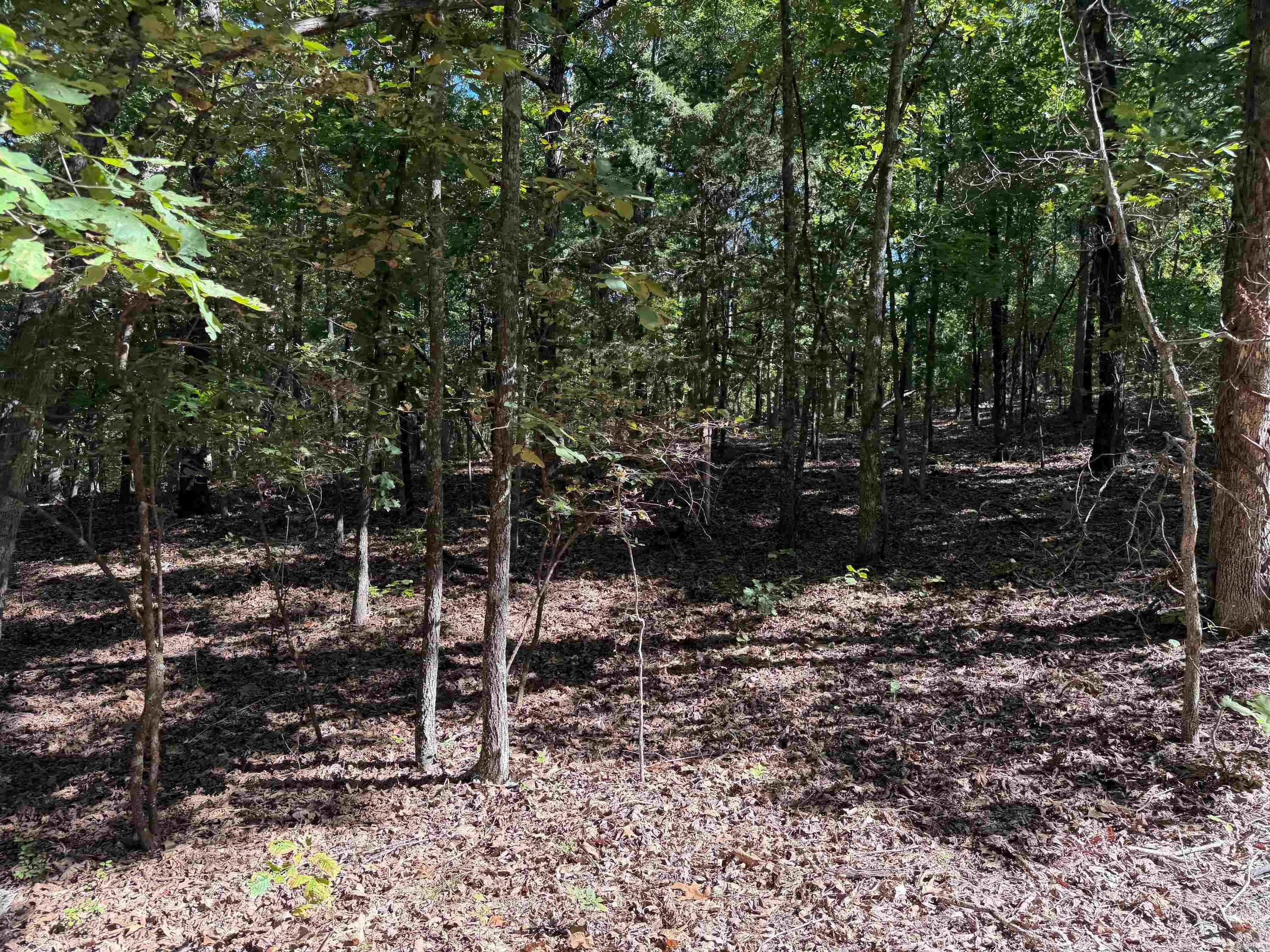 222 W CC Rd Hardy, AR 72542