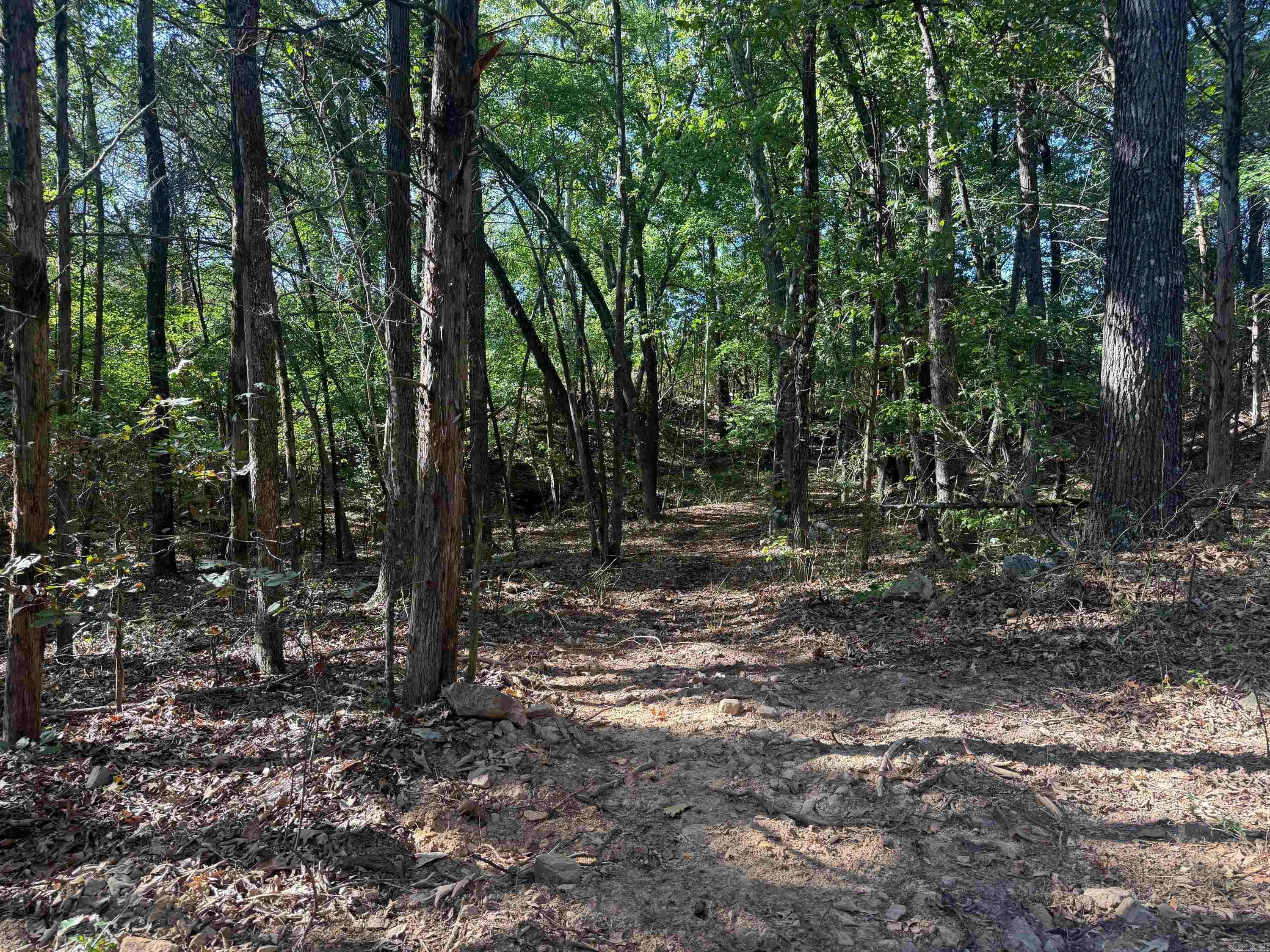 Pear Orchard Dr