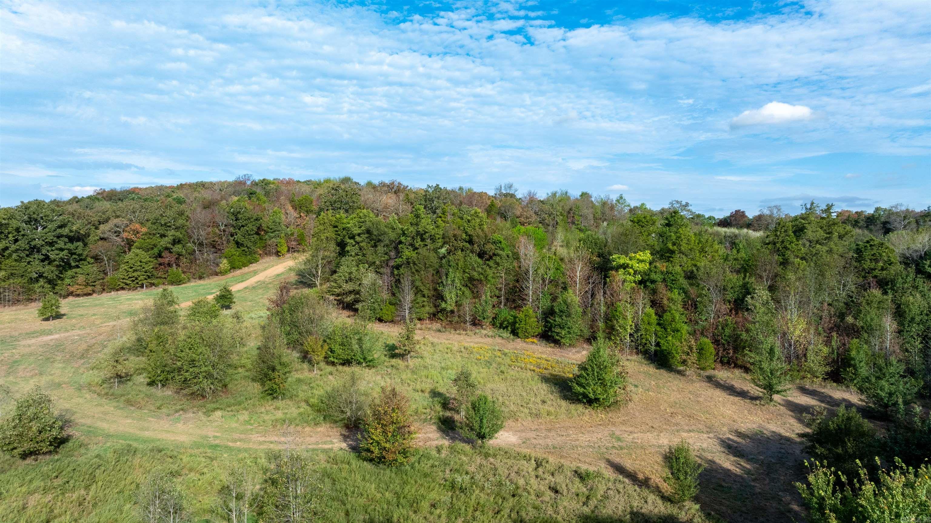 Pear Orchard Dr