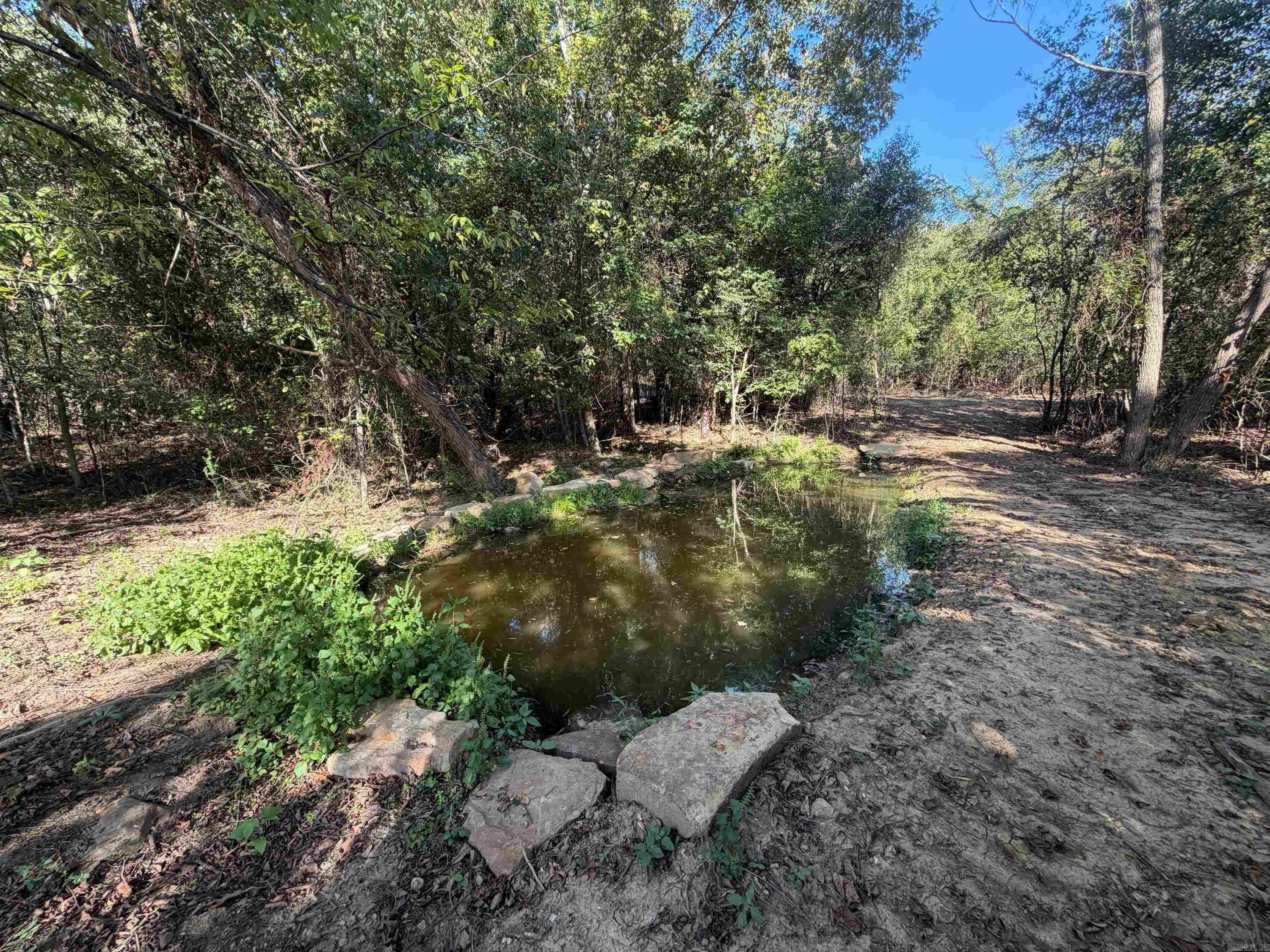 Pear Orchard Dr