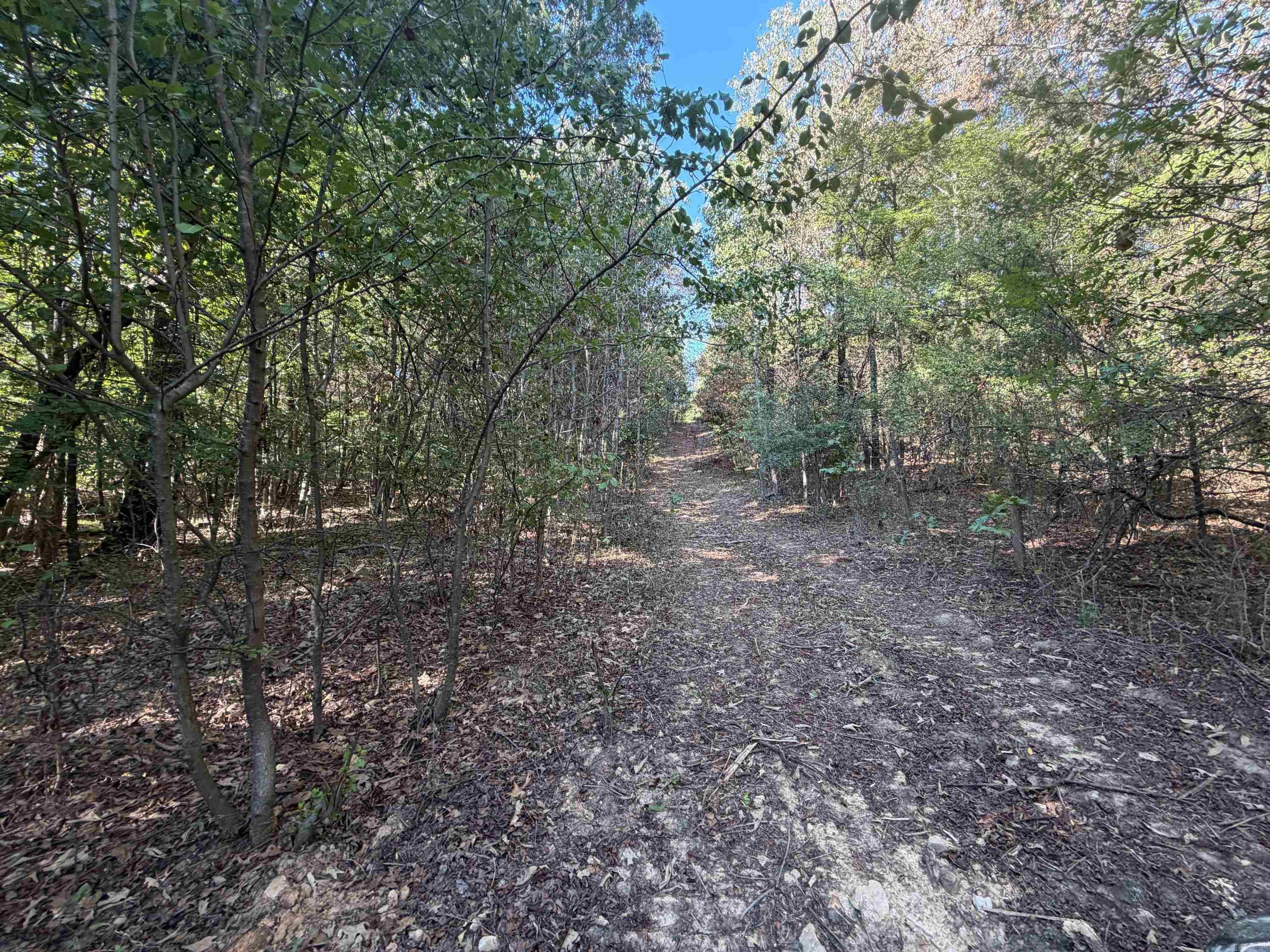 Pear Orchard Dr