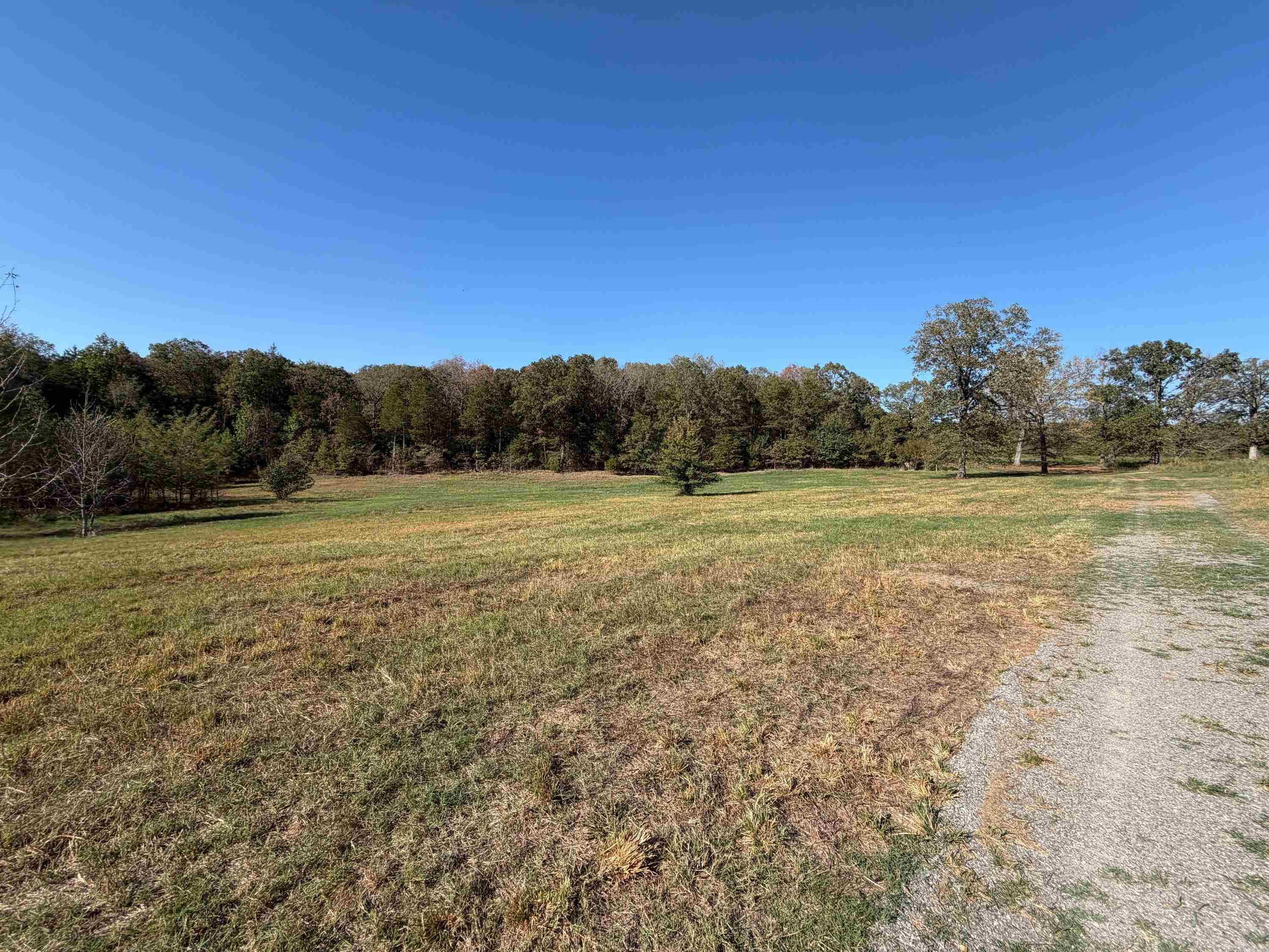 Pear Orchard Dr