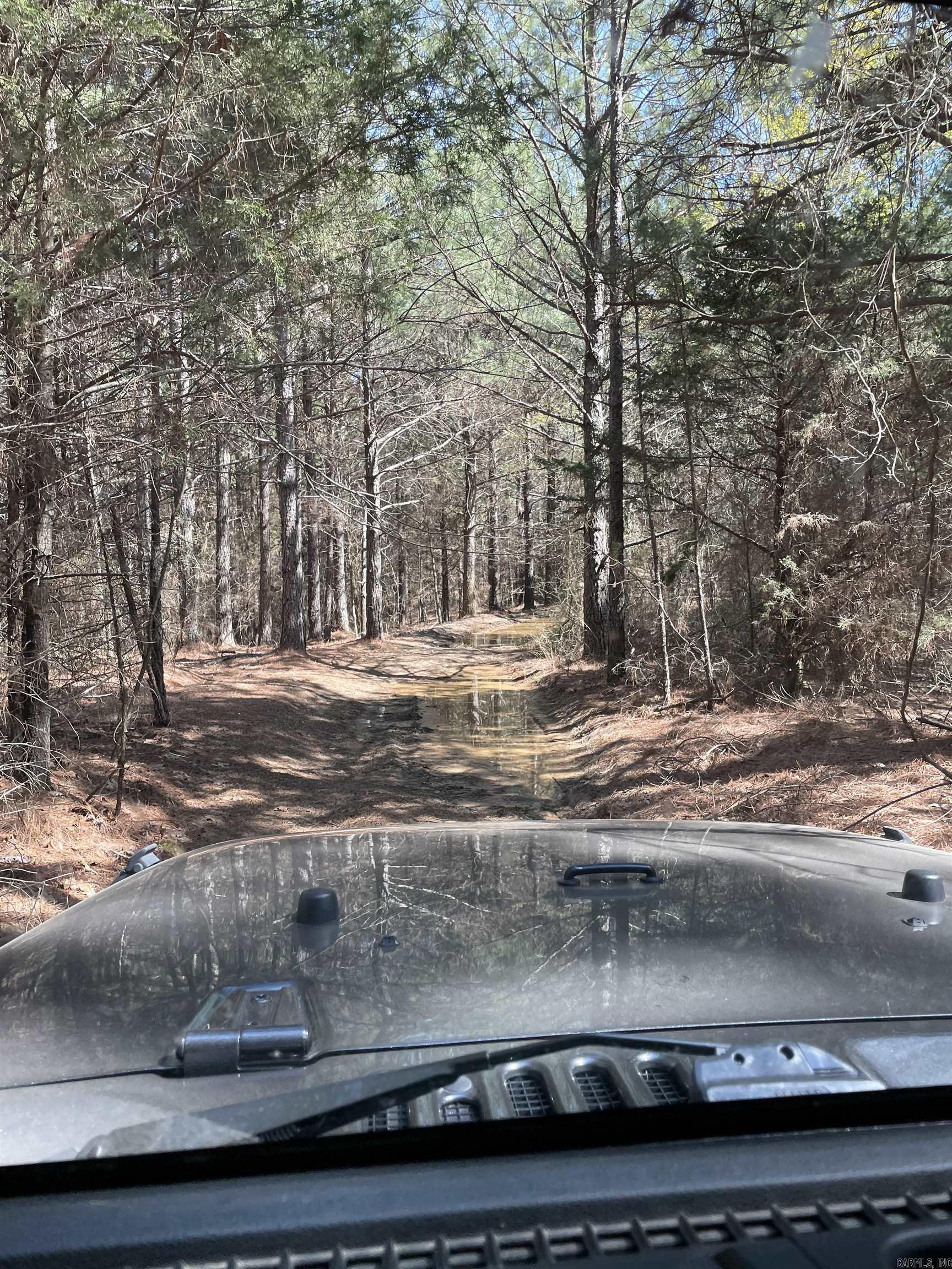 1246 Chimney Rock Road Shirley, AR 72088