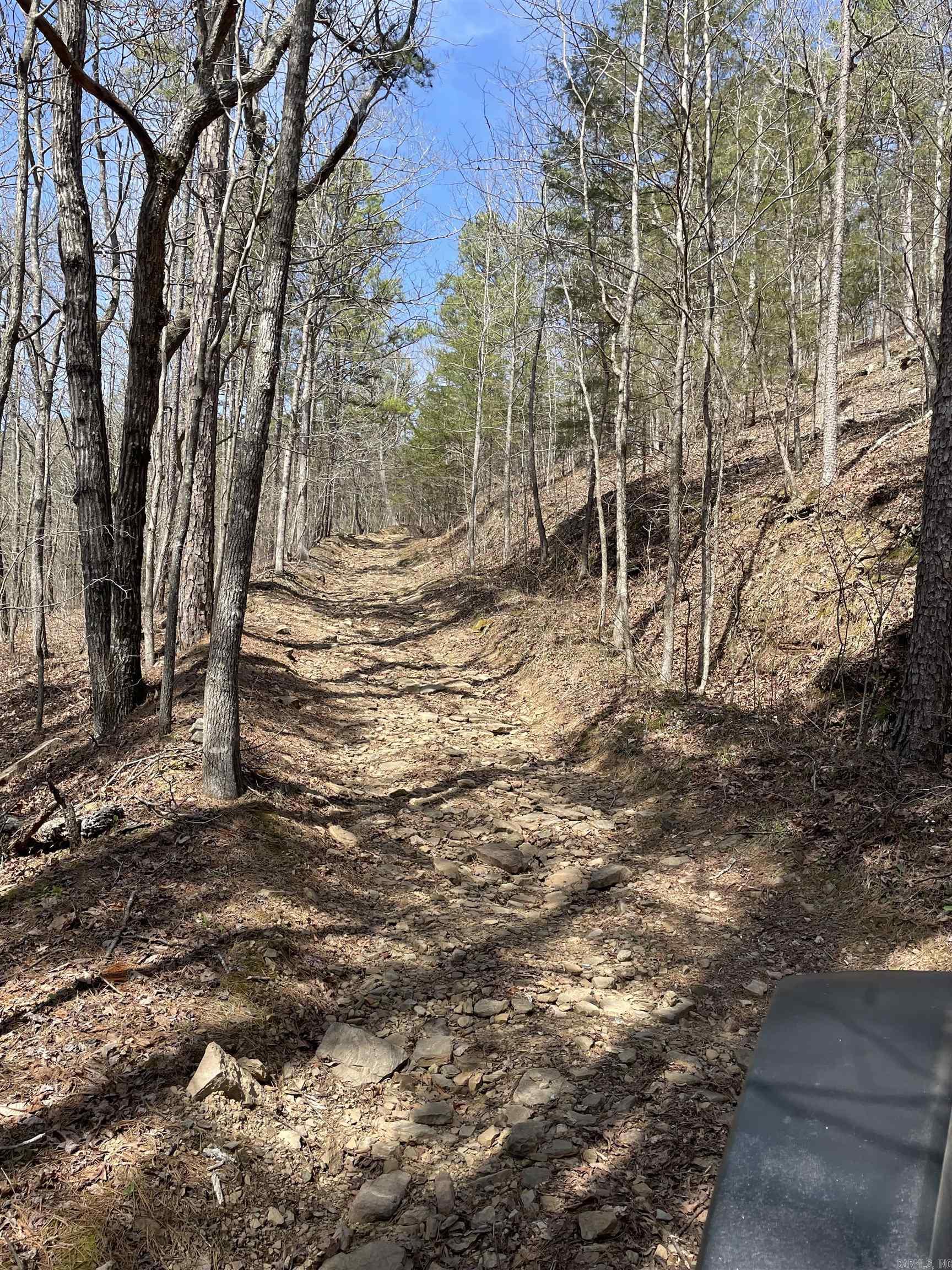 1246 Chimney Rock Road Shirley, AR 72088