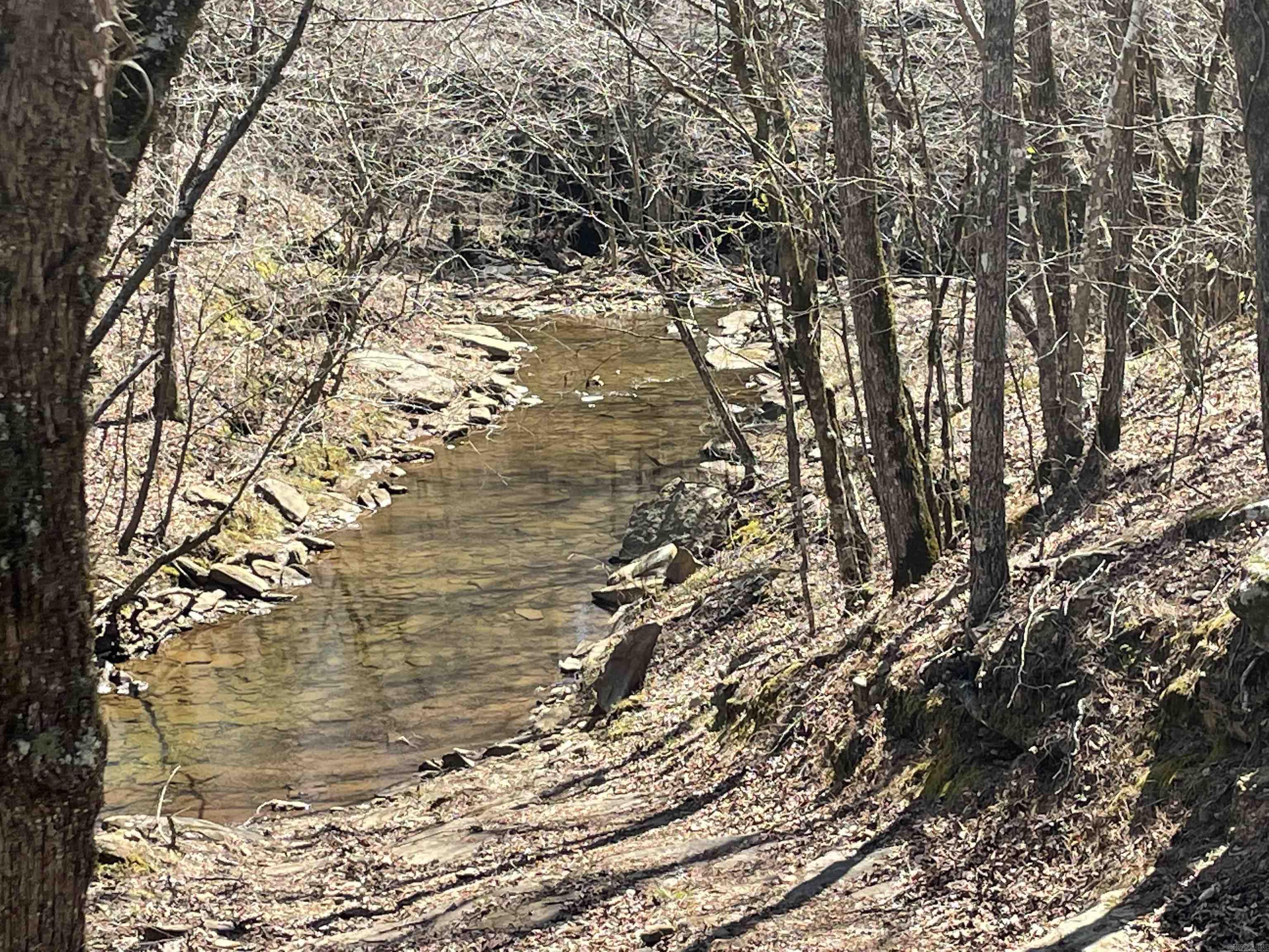 1246 Chimney Rock Road Shirley, AR 72088