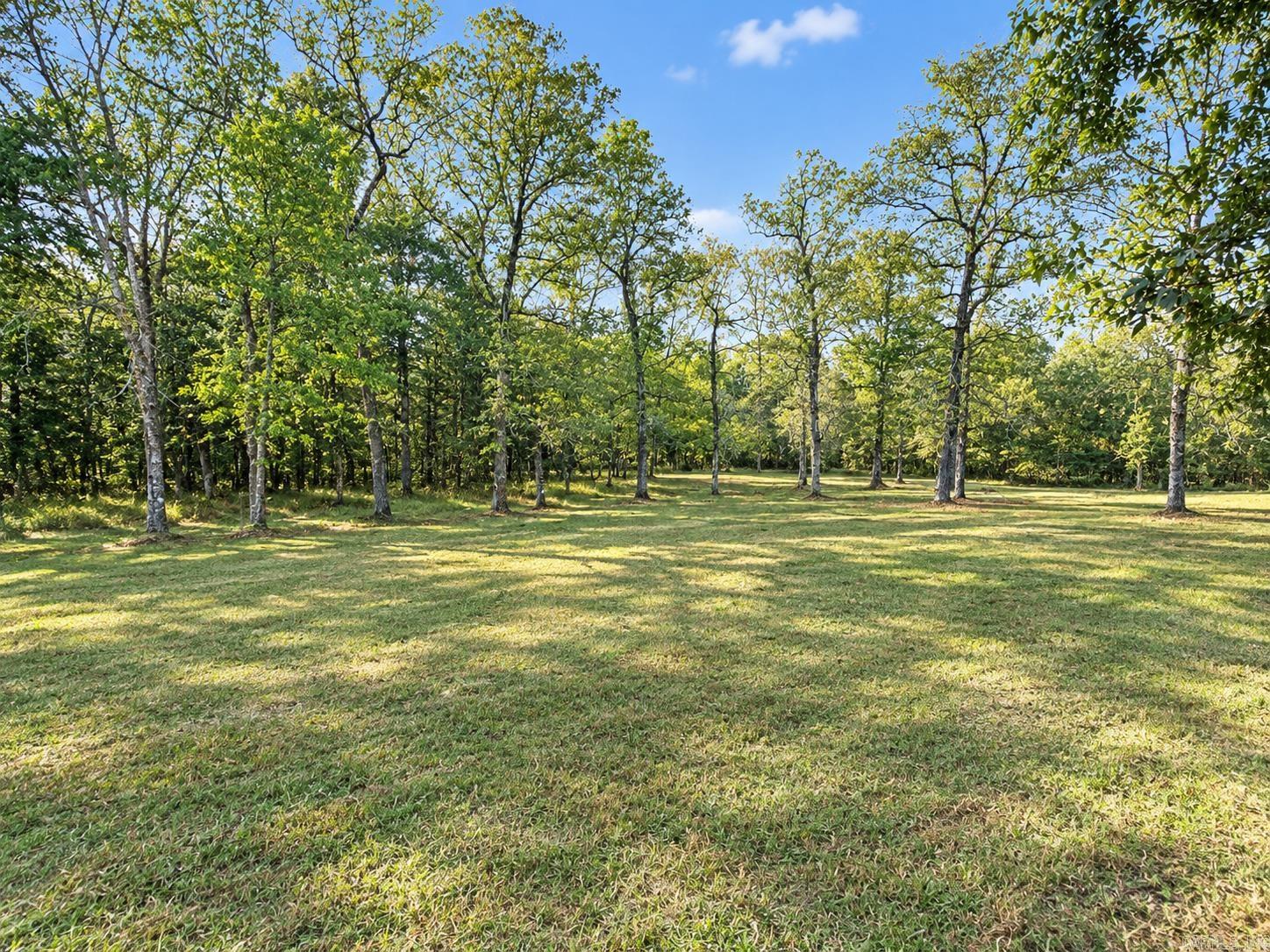 232 Dearmon Trail Lonsdale, AR 72087