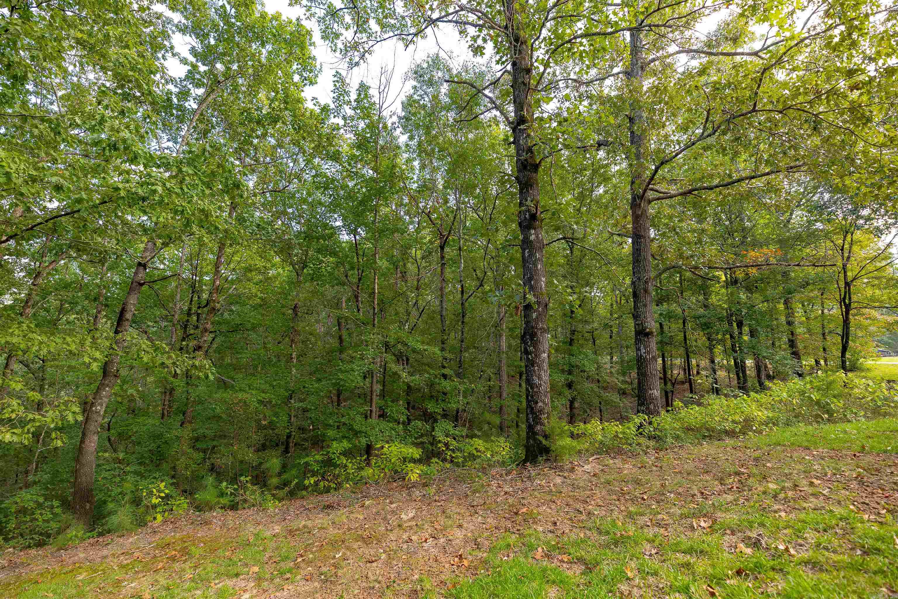 1315 Ridgeview Rd Camden, AR 71701