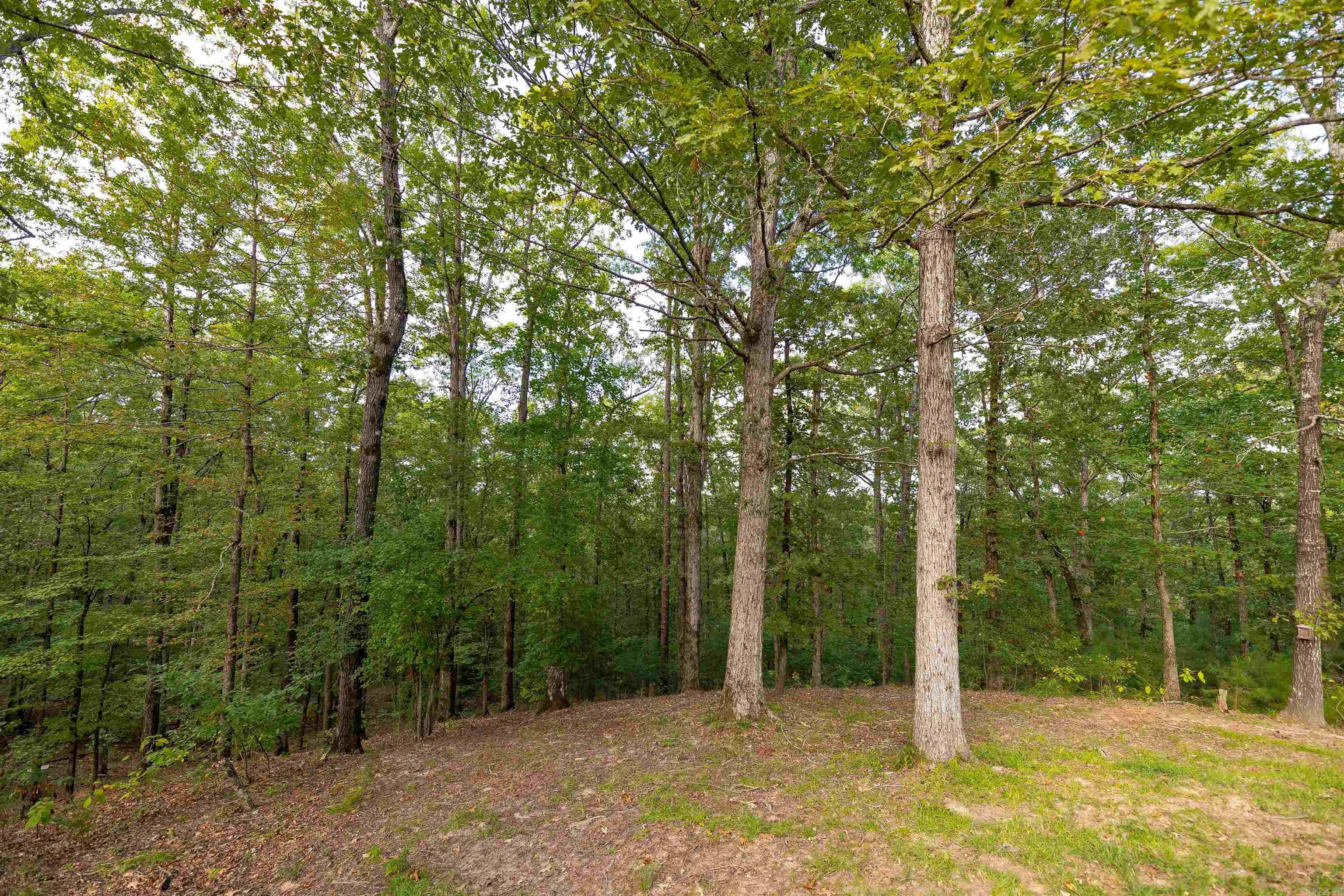 1315 Ridgeview Rd Camden, AR 71701