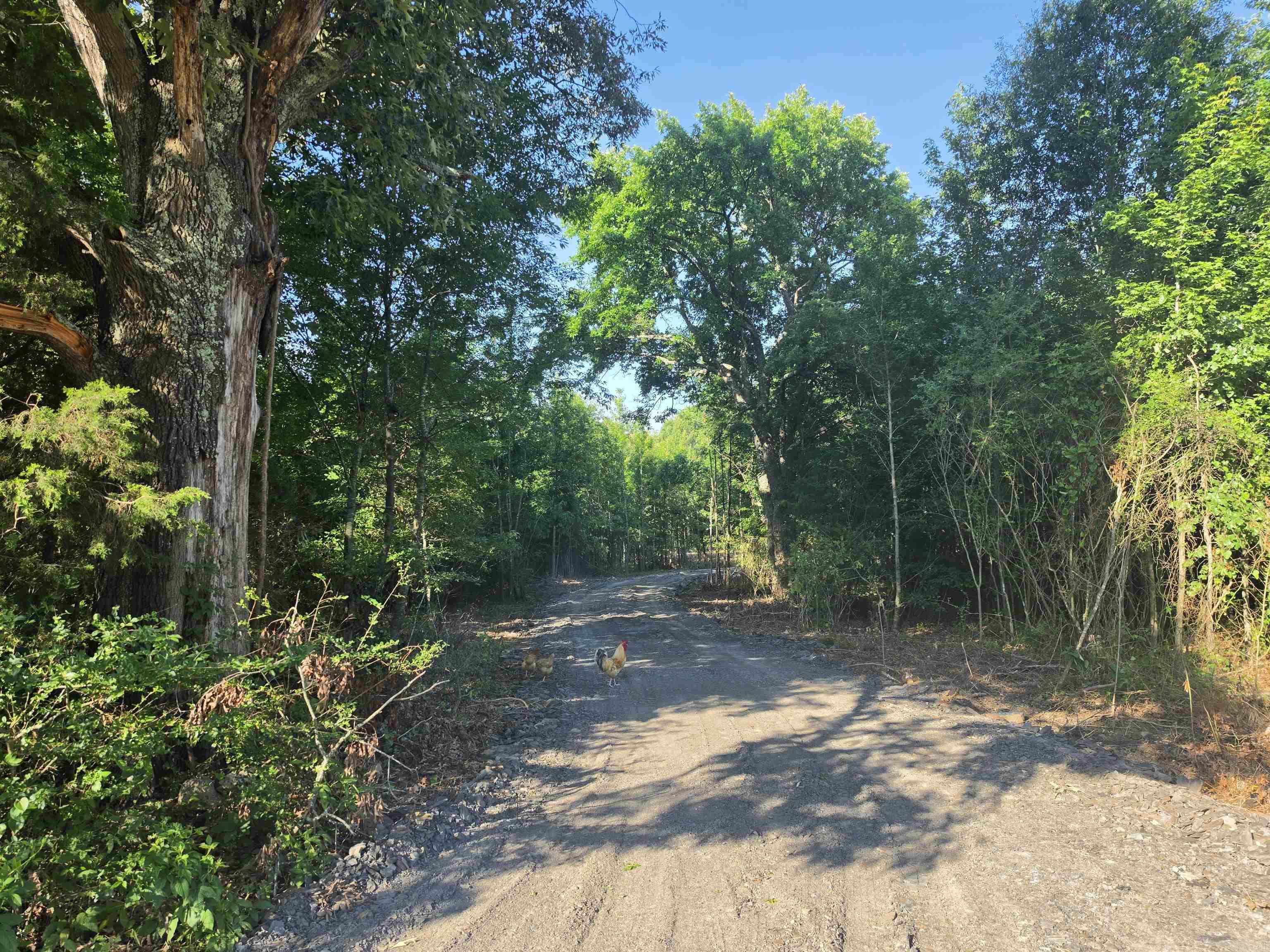 0 Ridge Road — photo 3