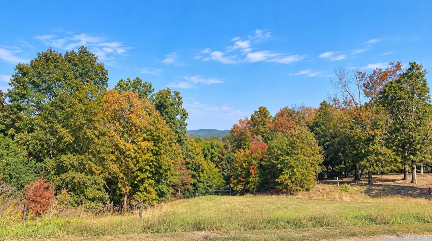 130 Blackjack Road Greenbrier, AR 72058