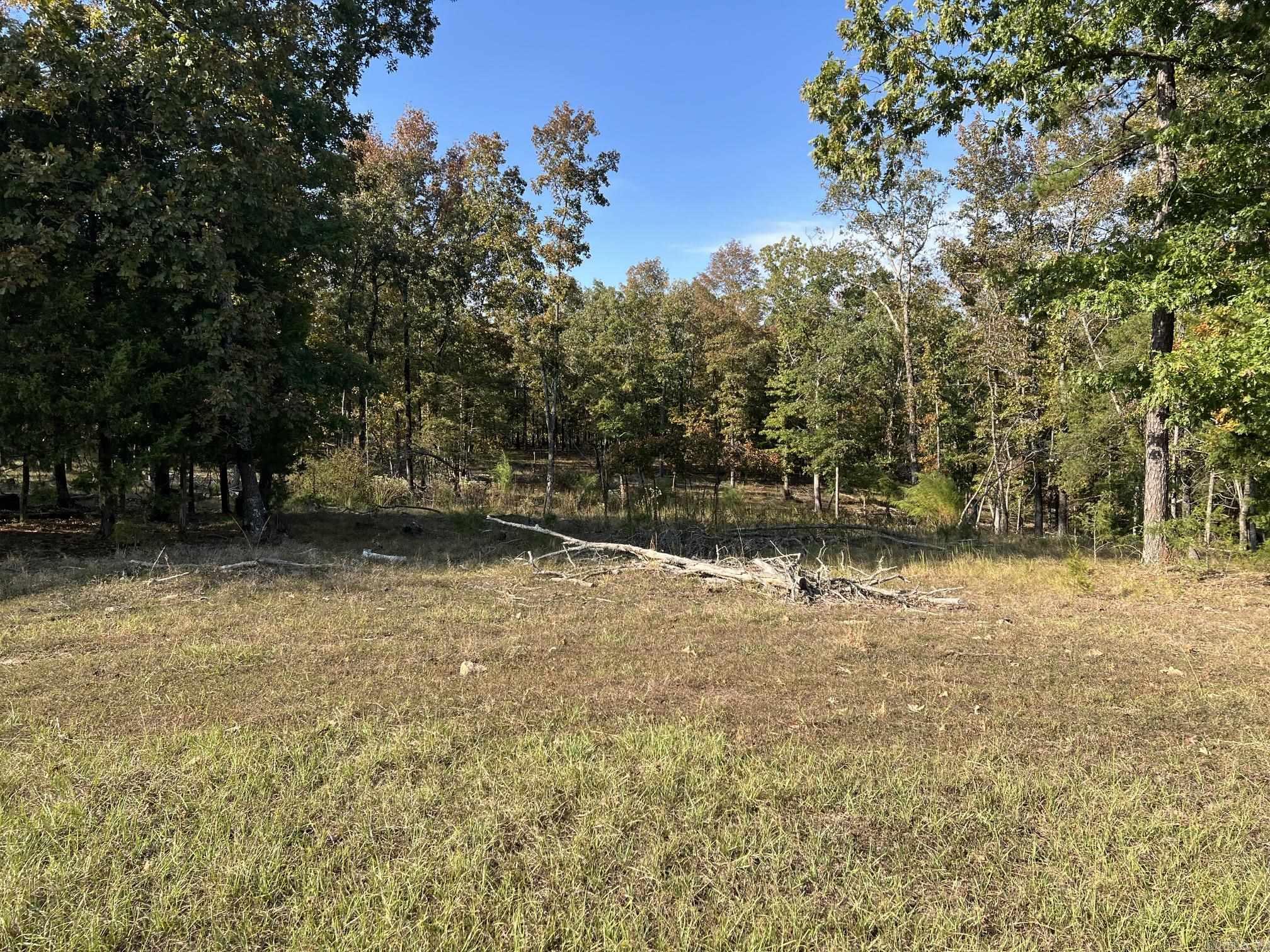 0 County Line Road — photo 4