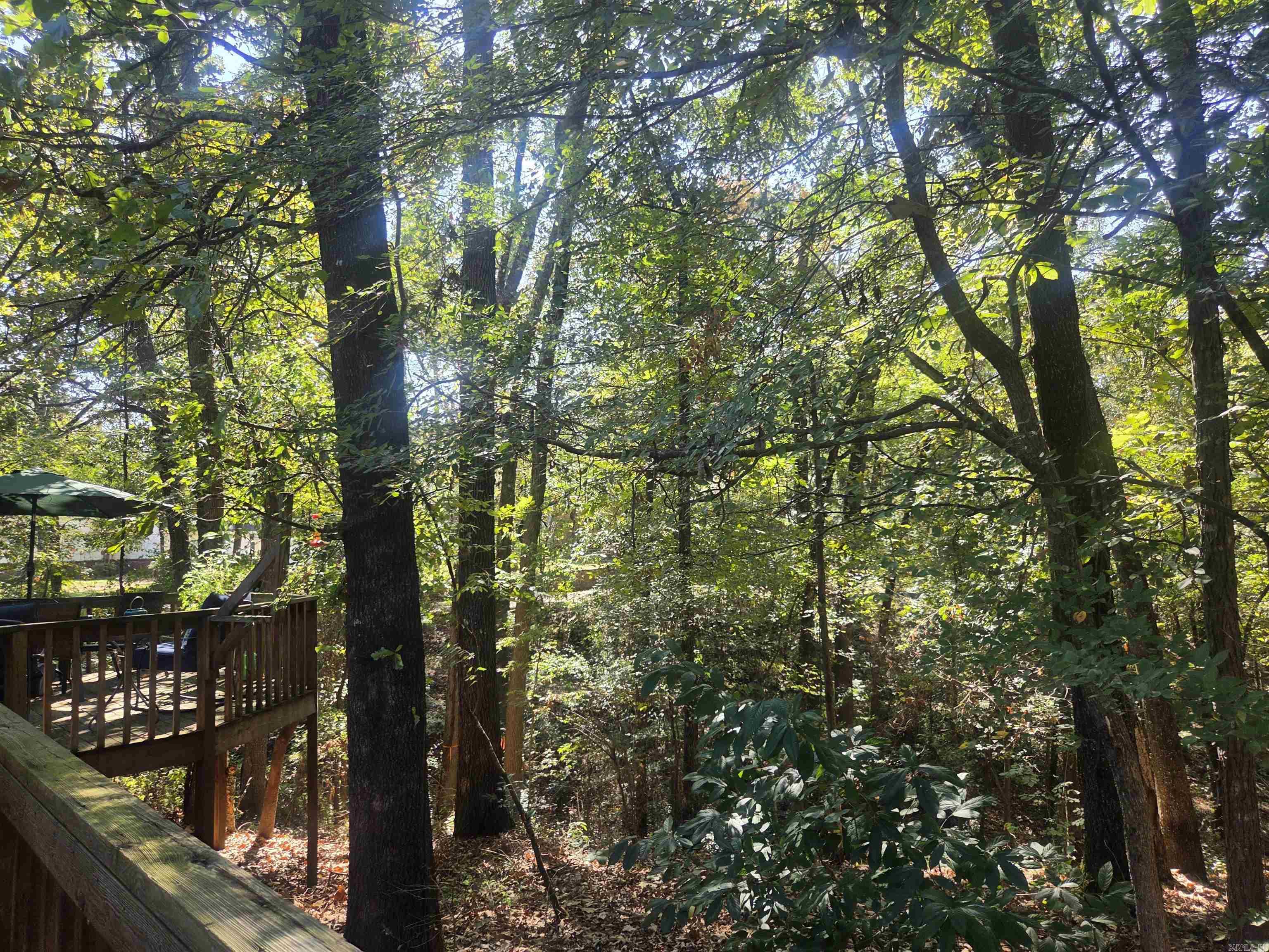 37 Fontaine Drive Clarksville, AR 72830