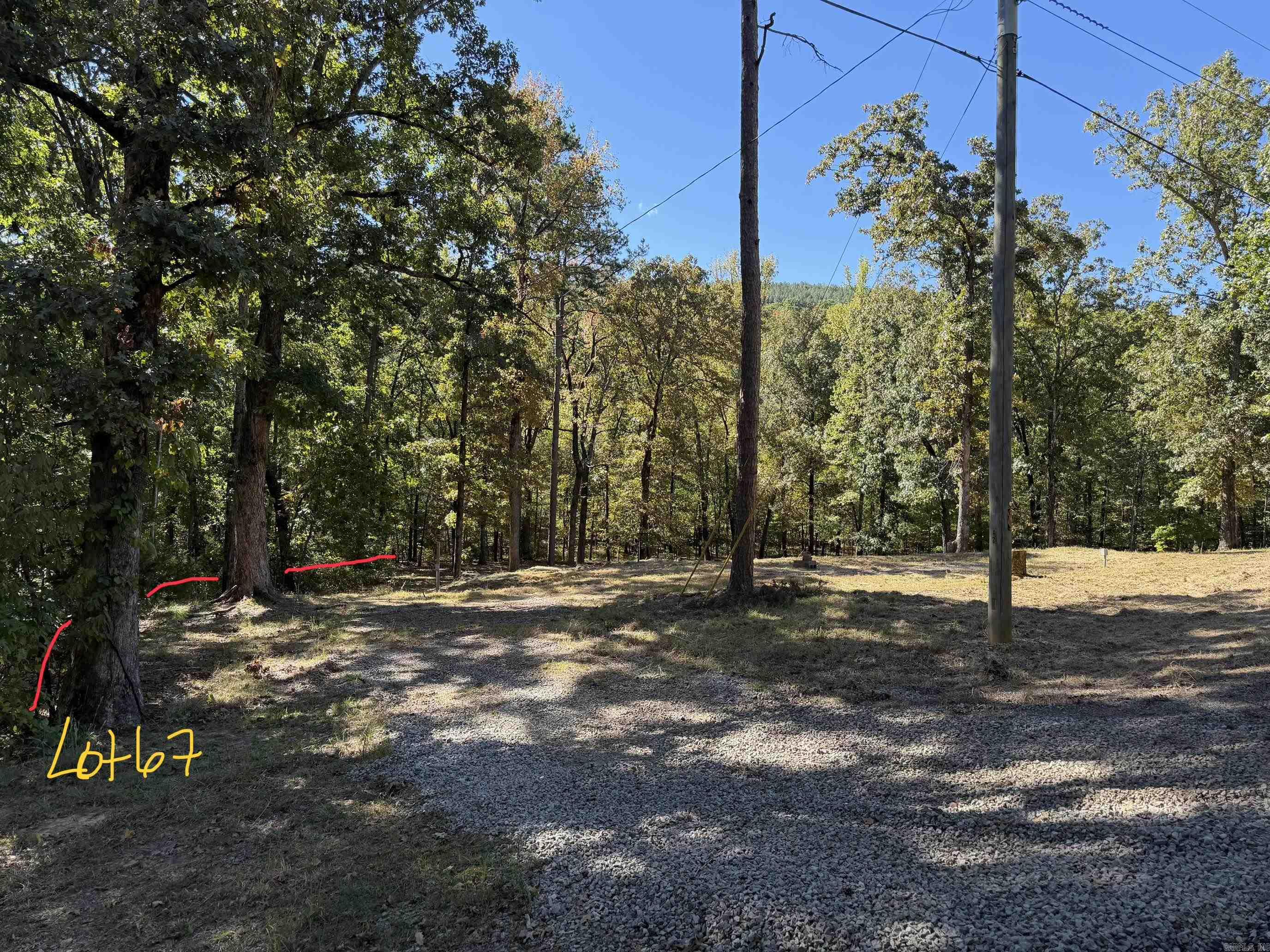 1606 Cove Creek Road — photo 3