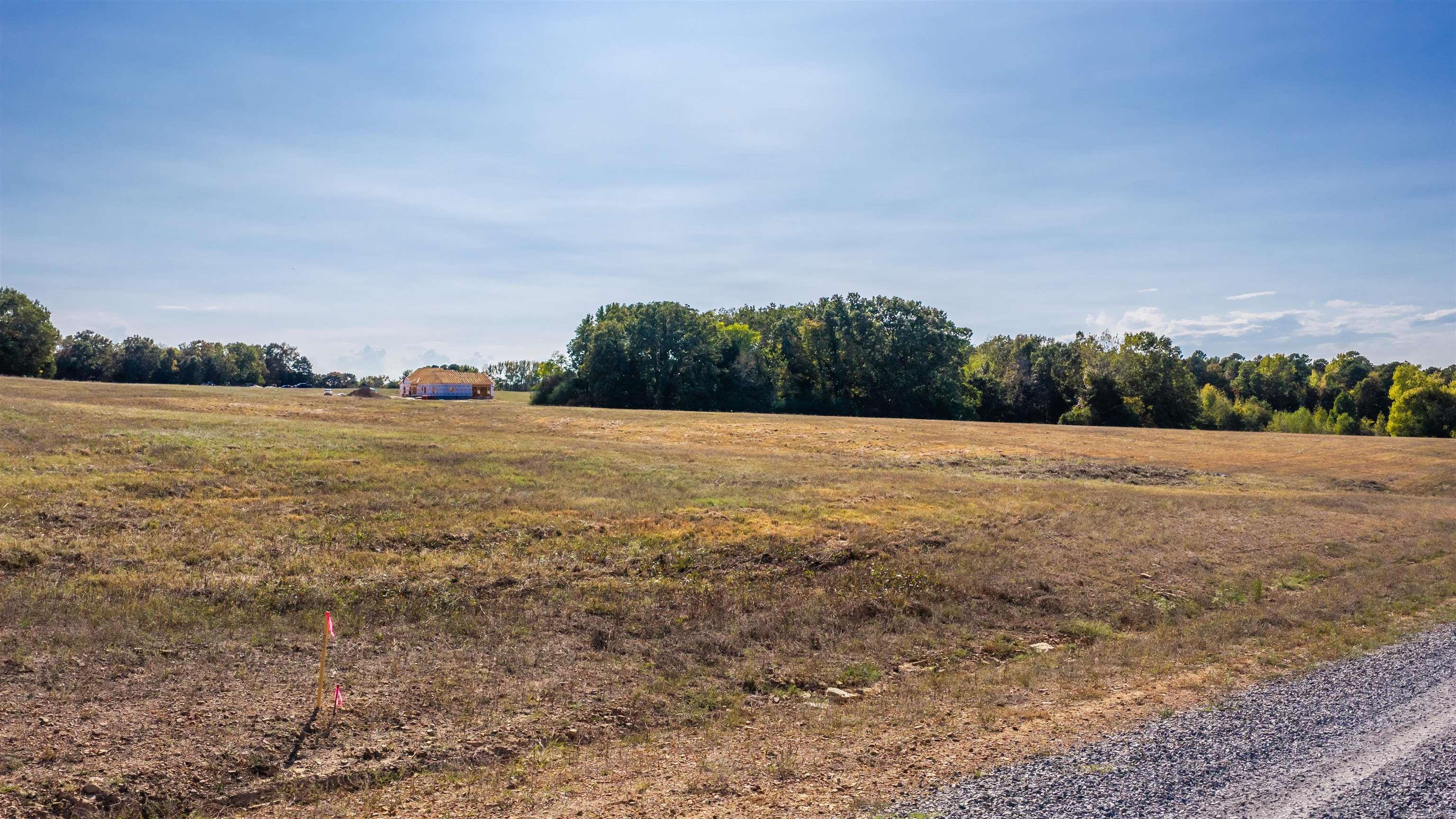 5 Summer Field — photo 2