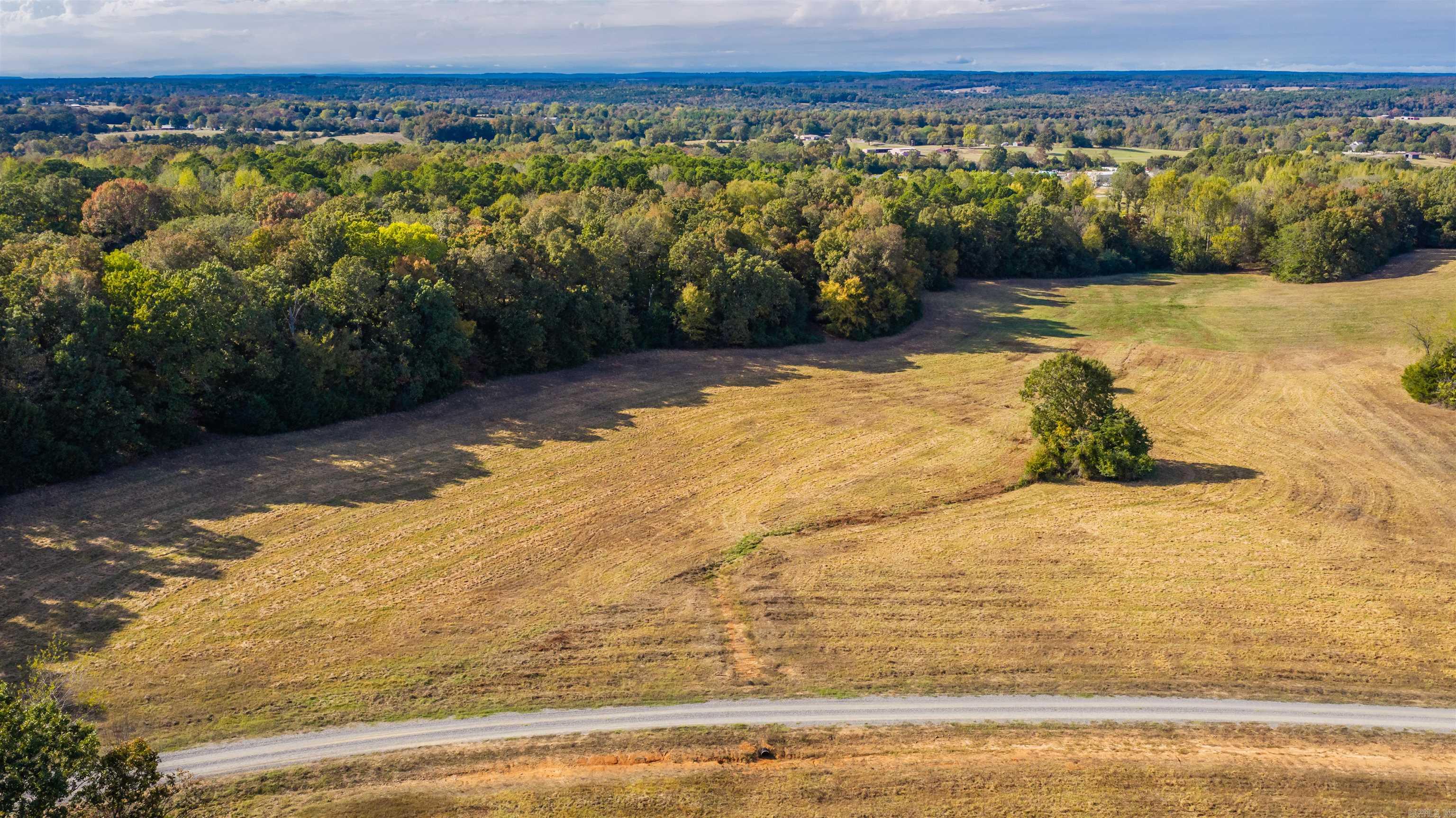 21 Summer Field — photo 3