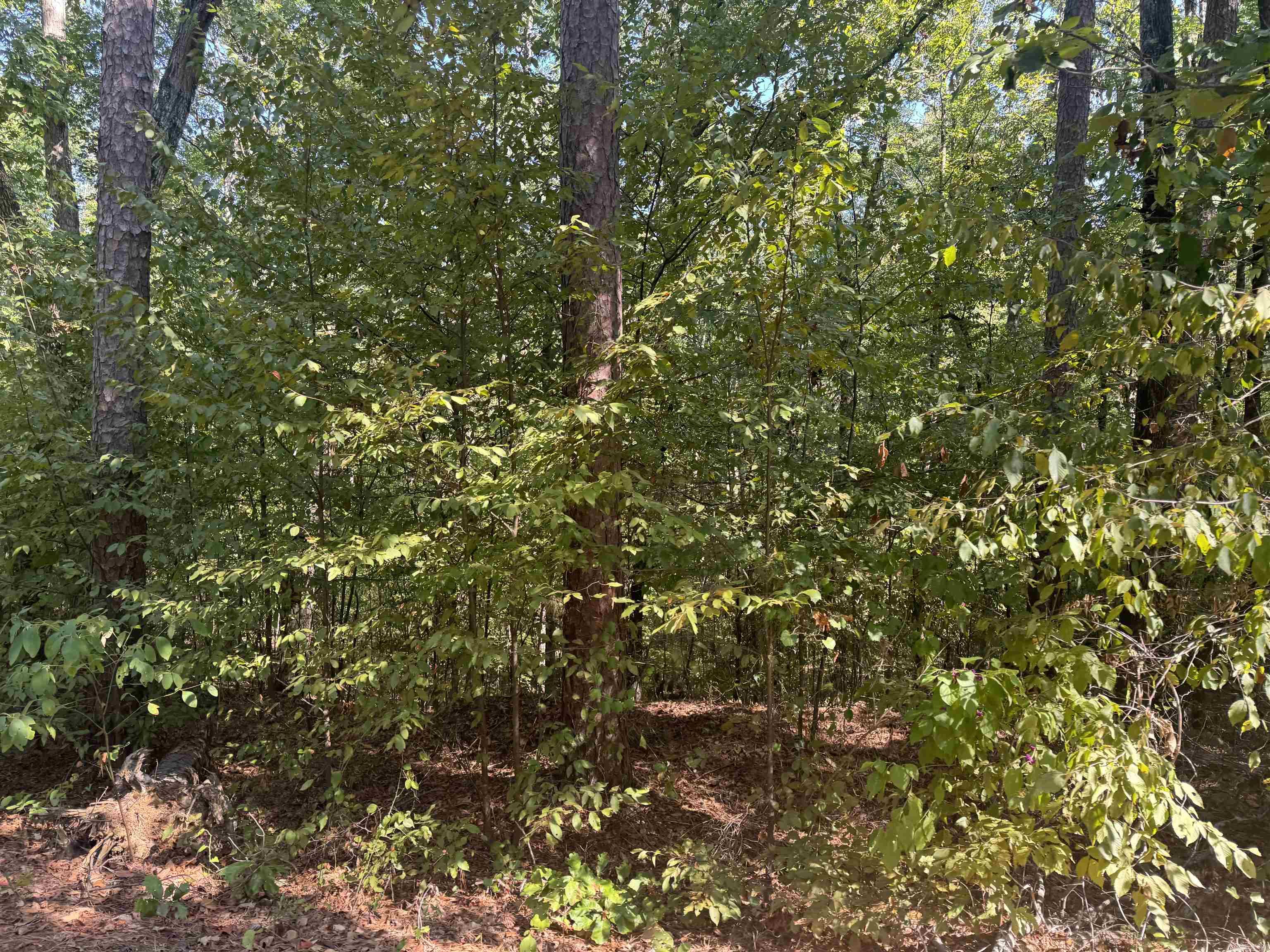 0 Prysock Road — photo 2