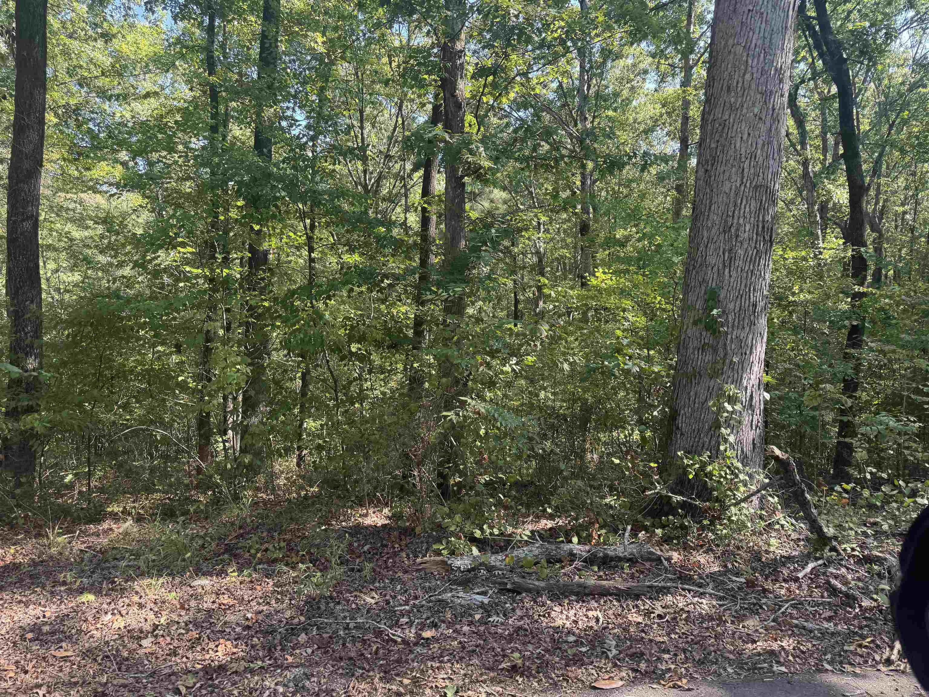 0 Prysock Road — photo 3