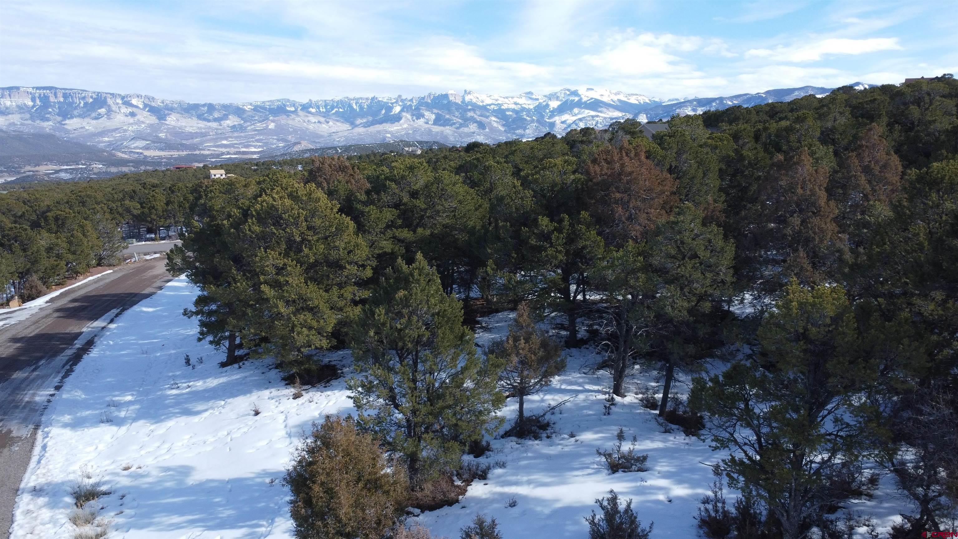 Come see this exceptional 2.040-acre wooded property in the highly desirable Log Hill Subdivision, just outside of Ridgway, CO.  Build your dream home with amazing mountain views of the Cimmarons from the second story and enjoy the peaceful surroundings.  This property sits on a corner lot on a cul-de-sac just a short drive to downtown Ridgway, only 20 minutes from Ouray, and close to tons of outdoor recreation.  Come and breathe the mountain air and build the mountain retreat you've always wanted!