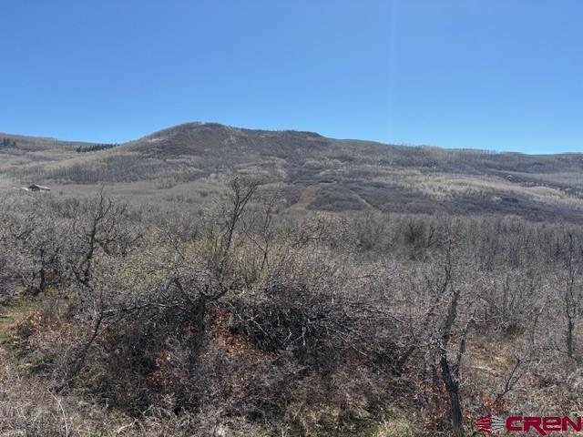 Get away from it all with this beautiful 35 acre parcel that's available to build on and backs up to the National Forest with over 1,000 acres to hunt, hike and fish the stream and the over 300 lakes and reservoirs on the Grand Mesa.