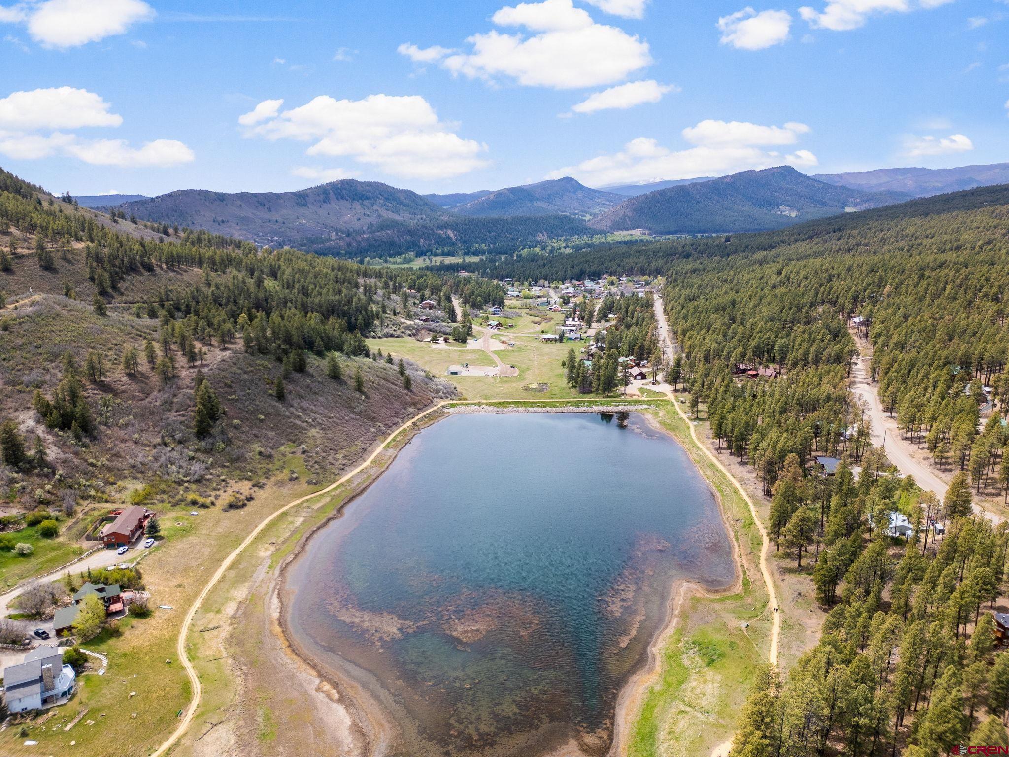 400 Alpine Forest