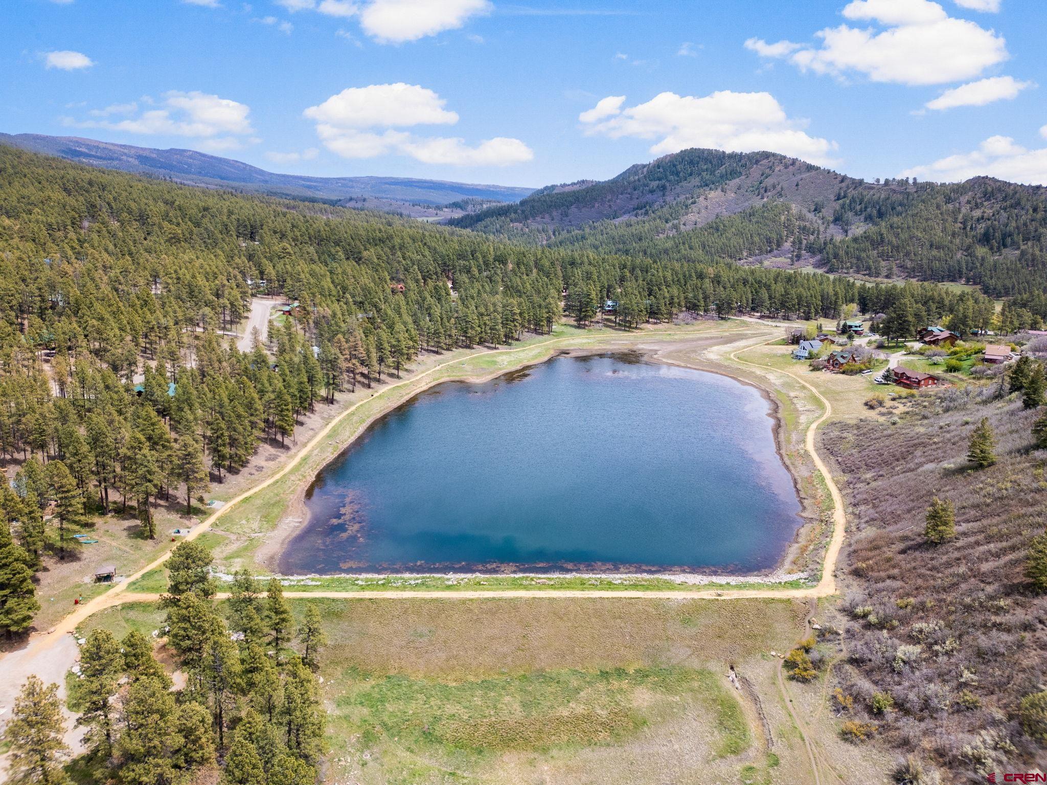 400 Alpine Forest