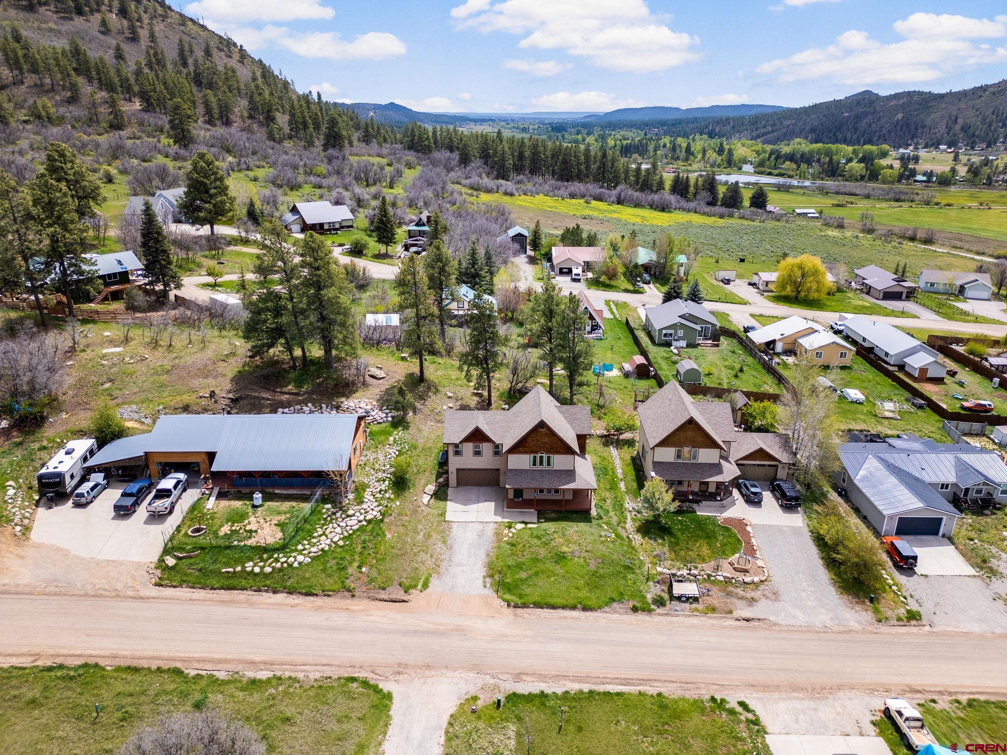 400 Alpine Forest
