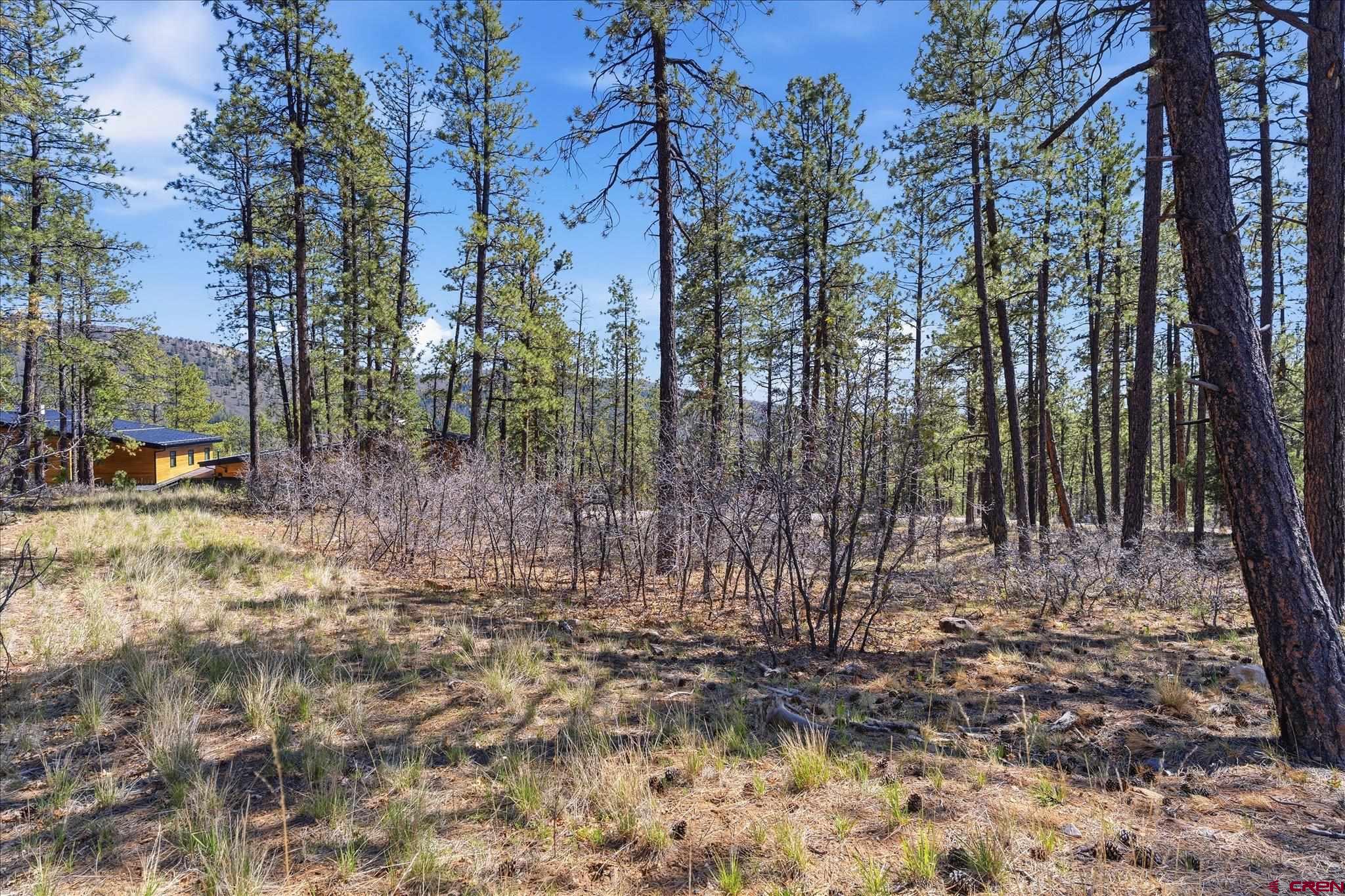 1096 Red Canyon Trail