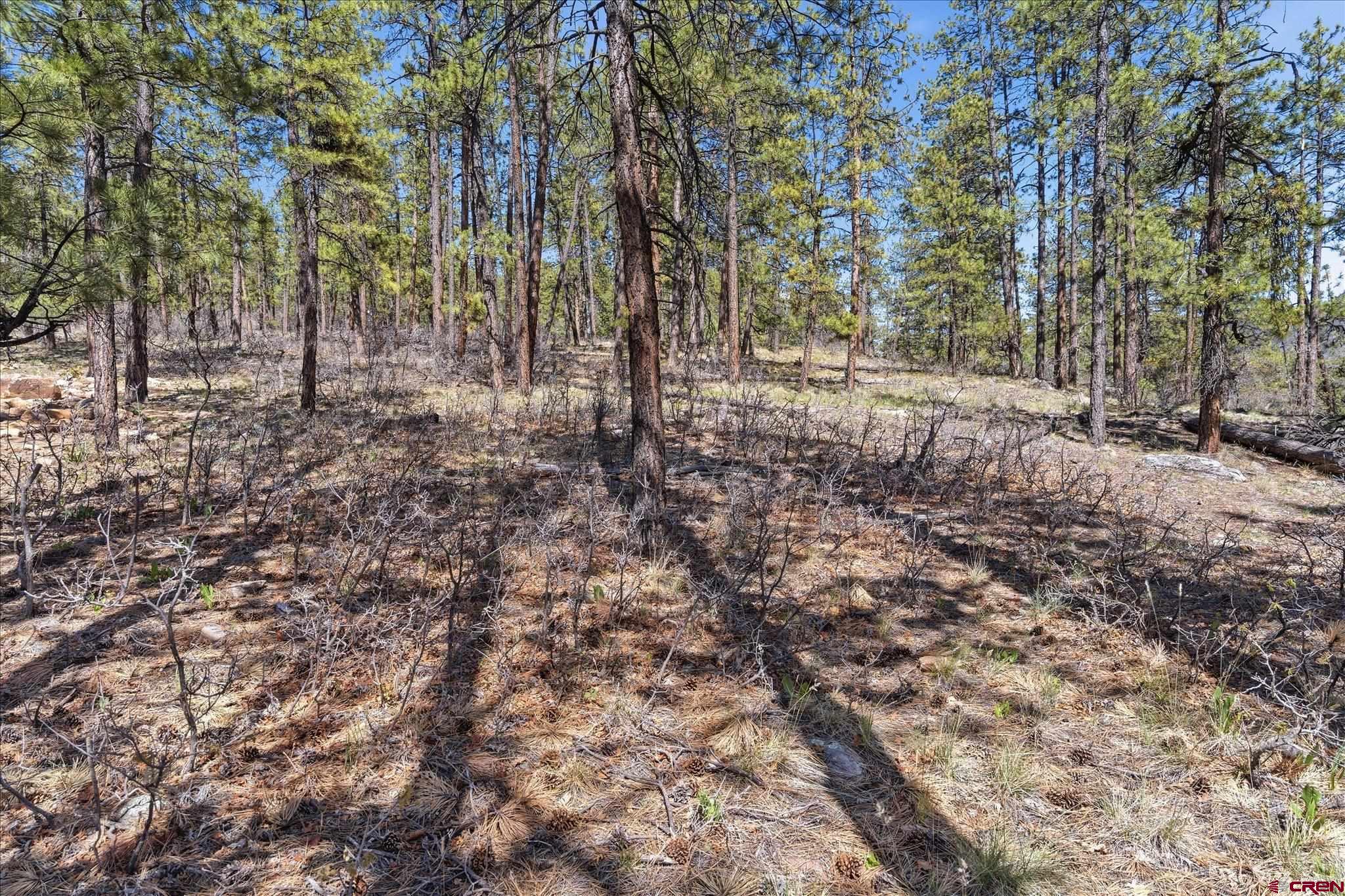 1096 Red Canyon Trail