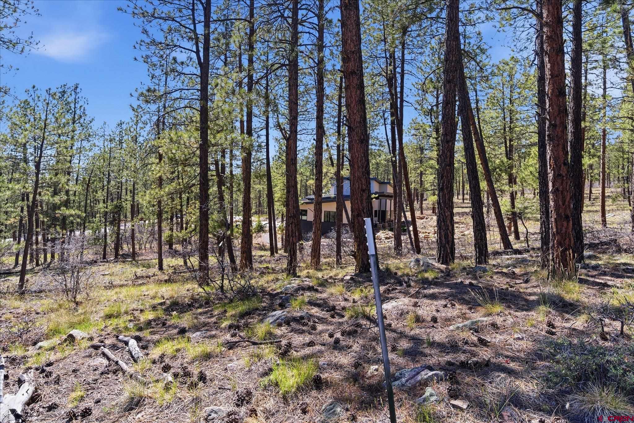 1096 Red Canyon Trail