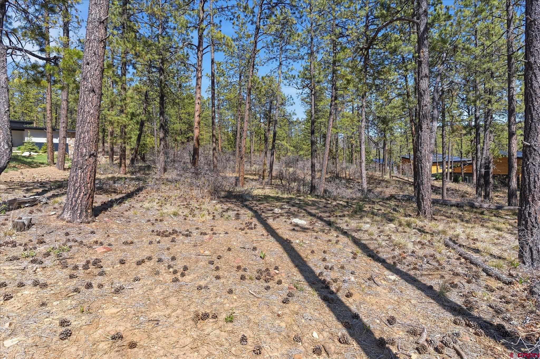 1096 Red Canyon Trail