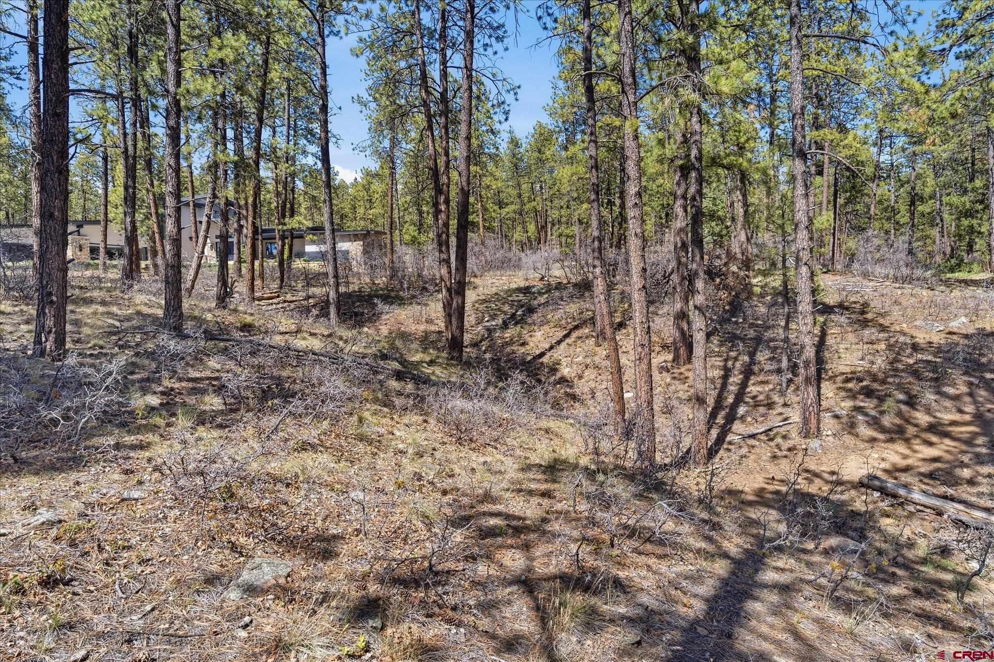 1096 Red Canyon Trail