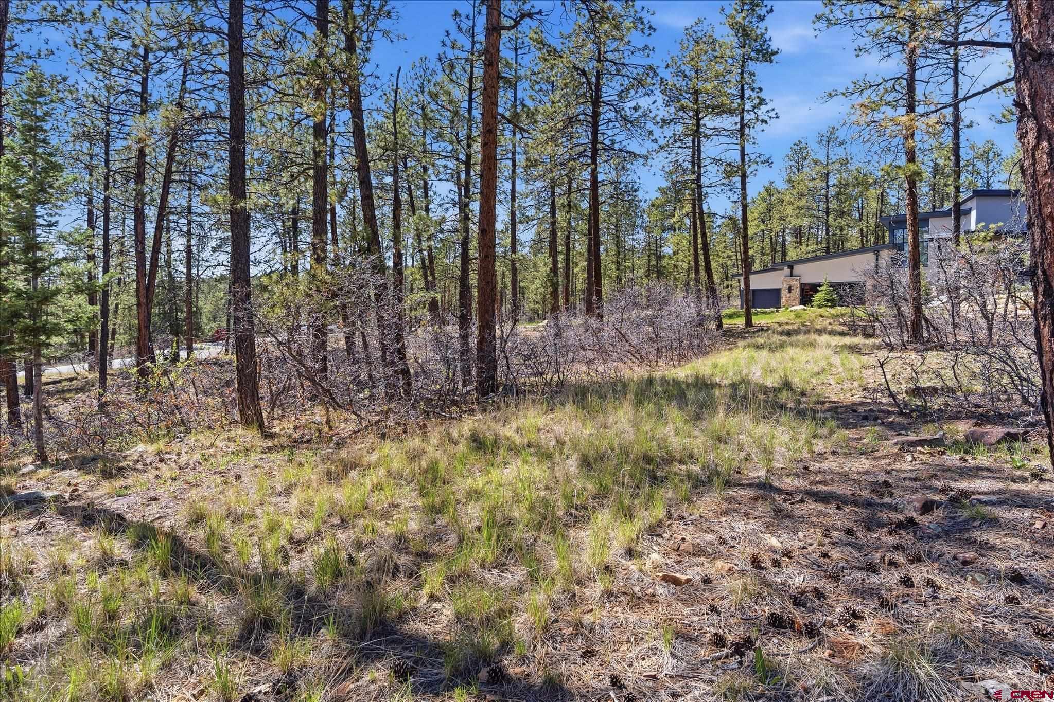 1096 Red Canyon Trail