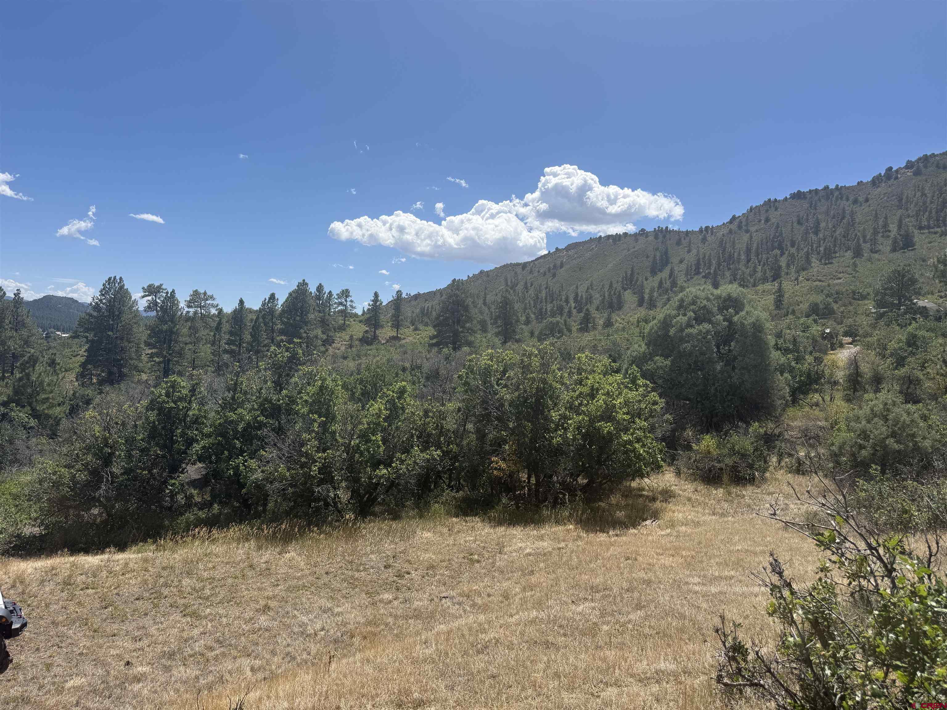 1134 Ludwig Drive