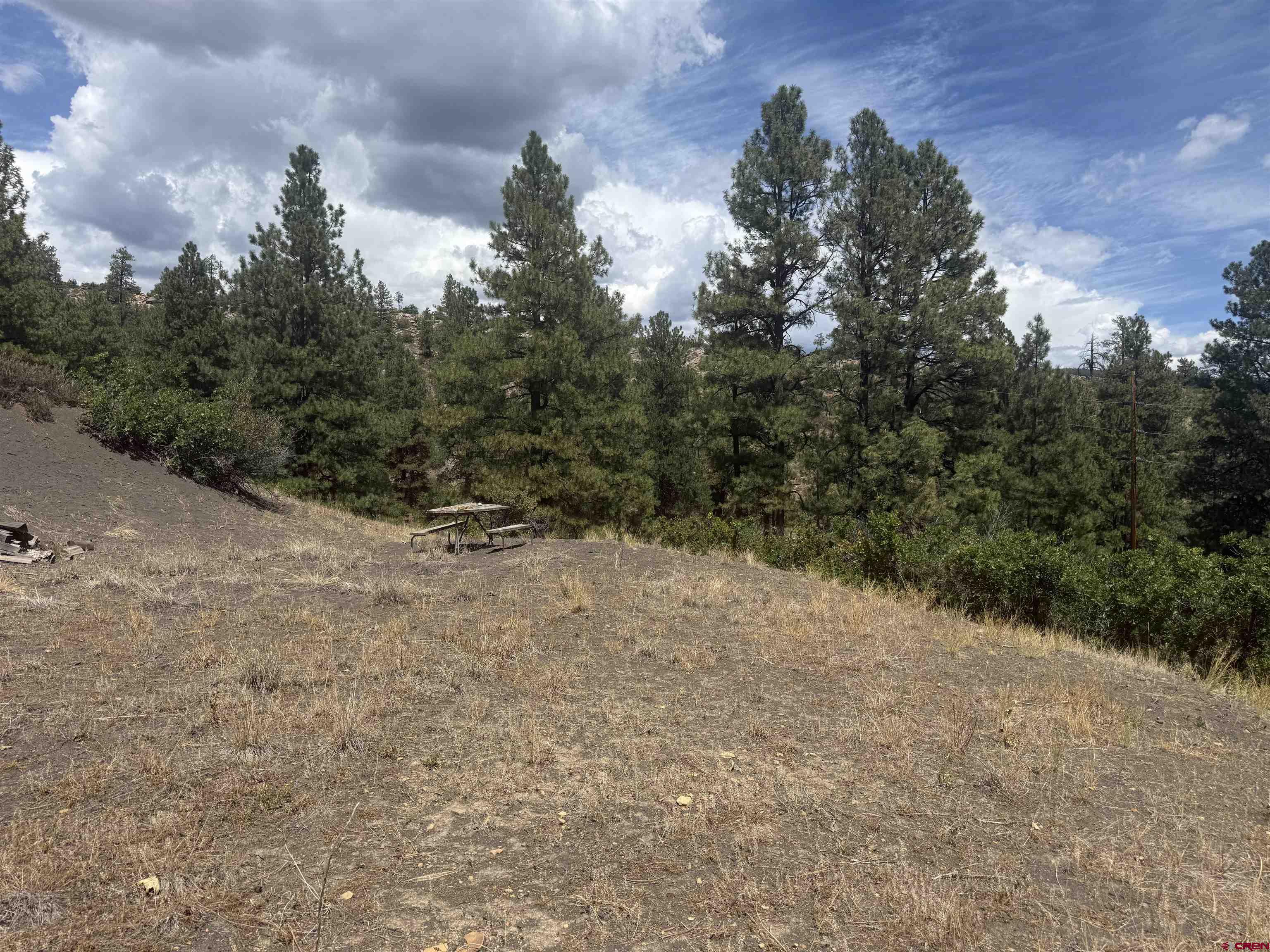 1134 Ludwig Drive